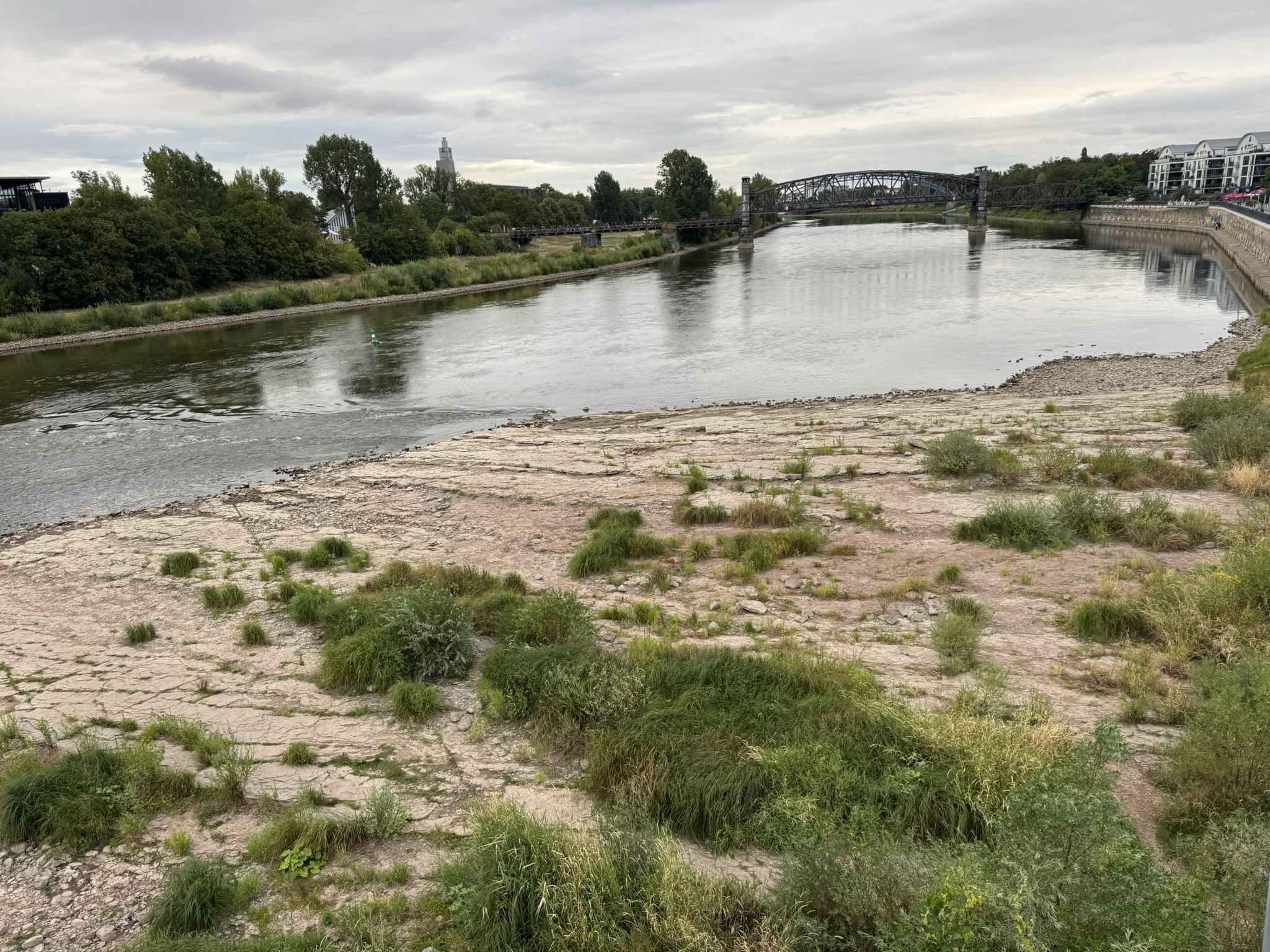 ein Teil des in die Elbe ragenden Domfelsens bei historisch niedrigem Wasserstand