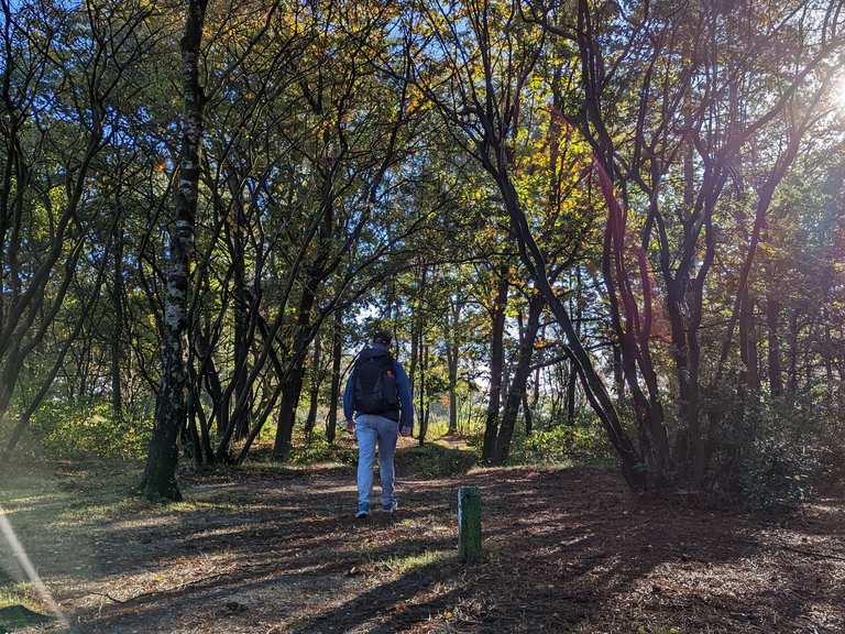 HeuvelrugHike dag 2 hike Komoot