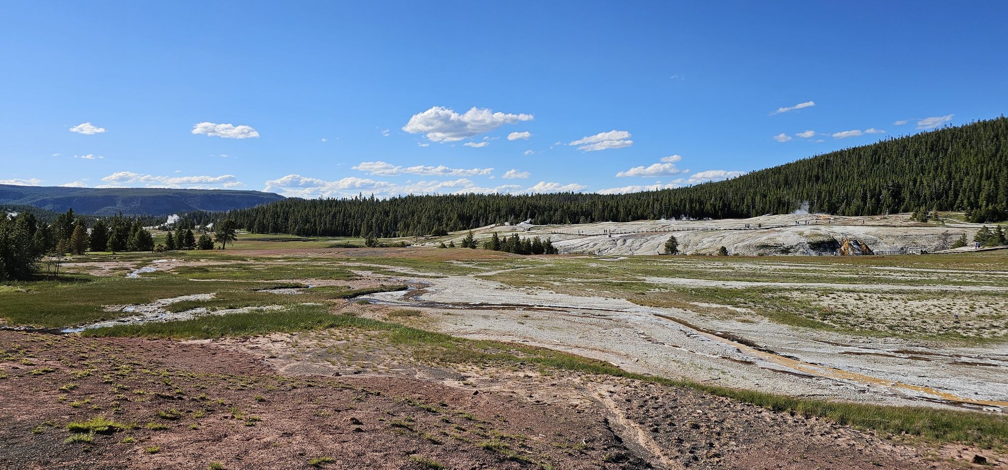 A wide landscape with green and white thermal areas, forests, and a blue sky. - Blue Star Spring – Old Faithful Geyser loop from Old Faithful Inn