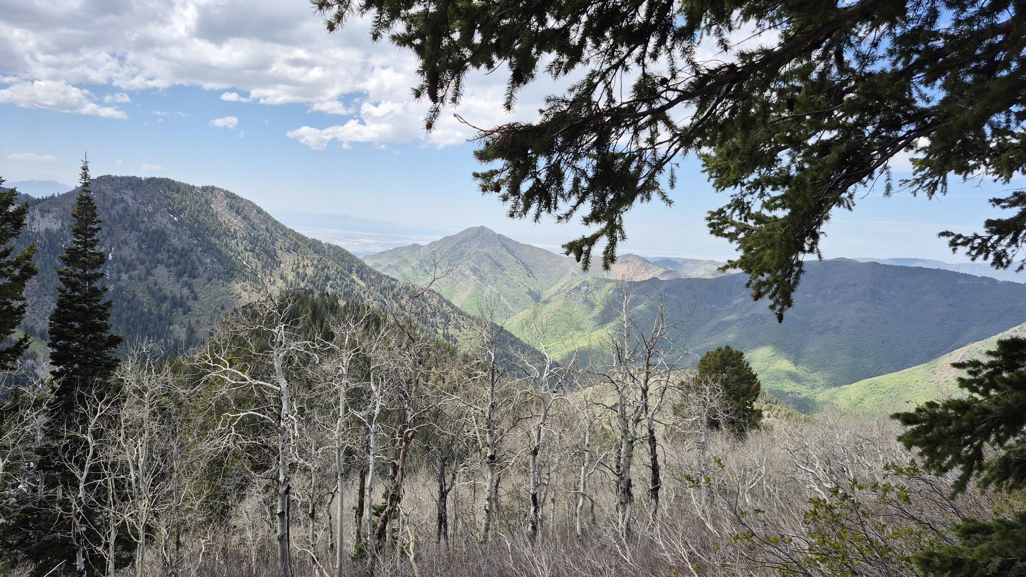 Mountain range with green slopes and bare trees under a partly cloudy sky. - Mount Raymond via Alexander Basin Trail