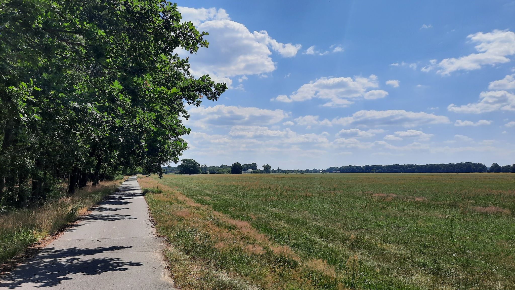 Wolfsradweg bei Rietschen