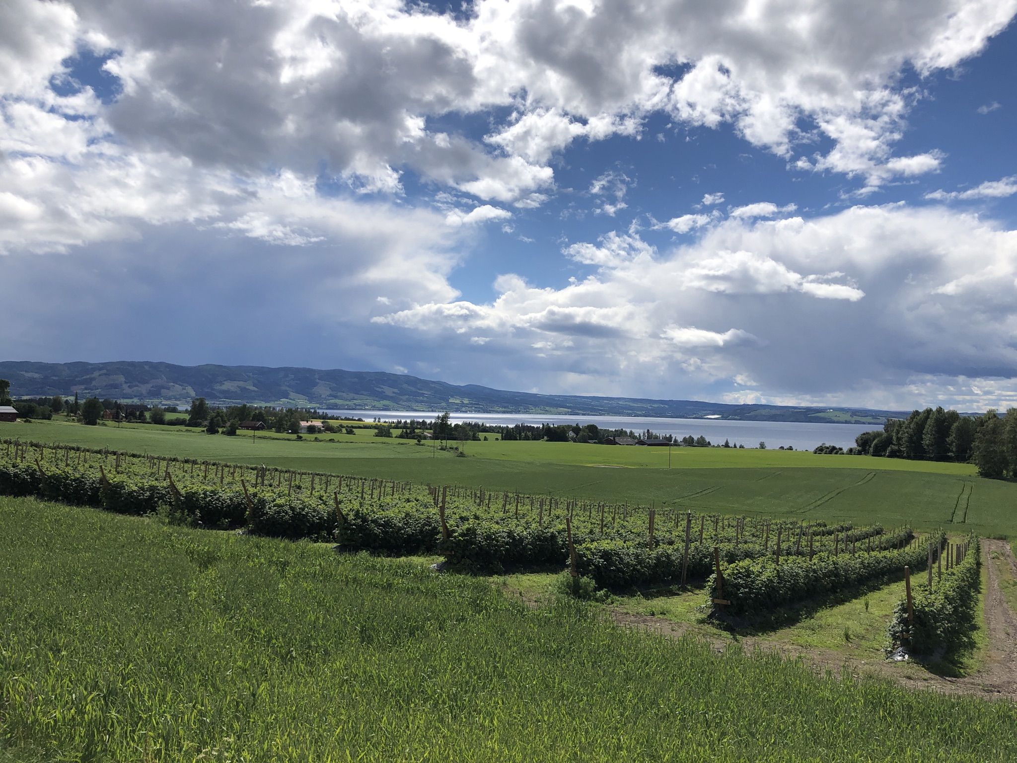 Immer noch entlang des Mjøsa Sees
