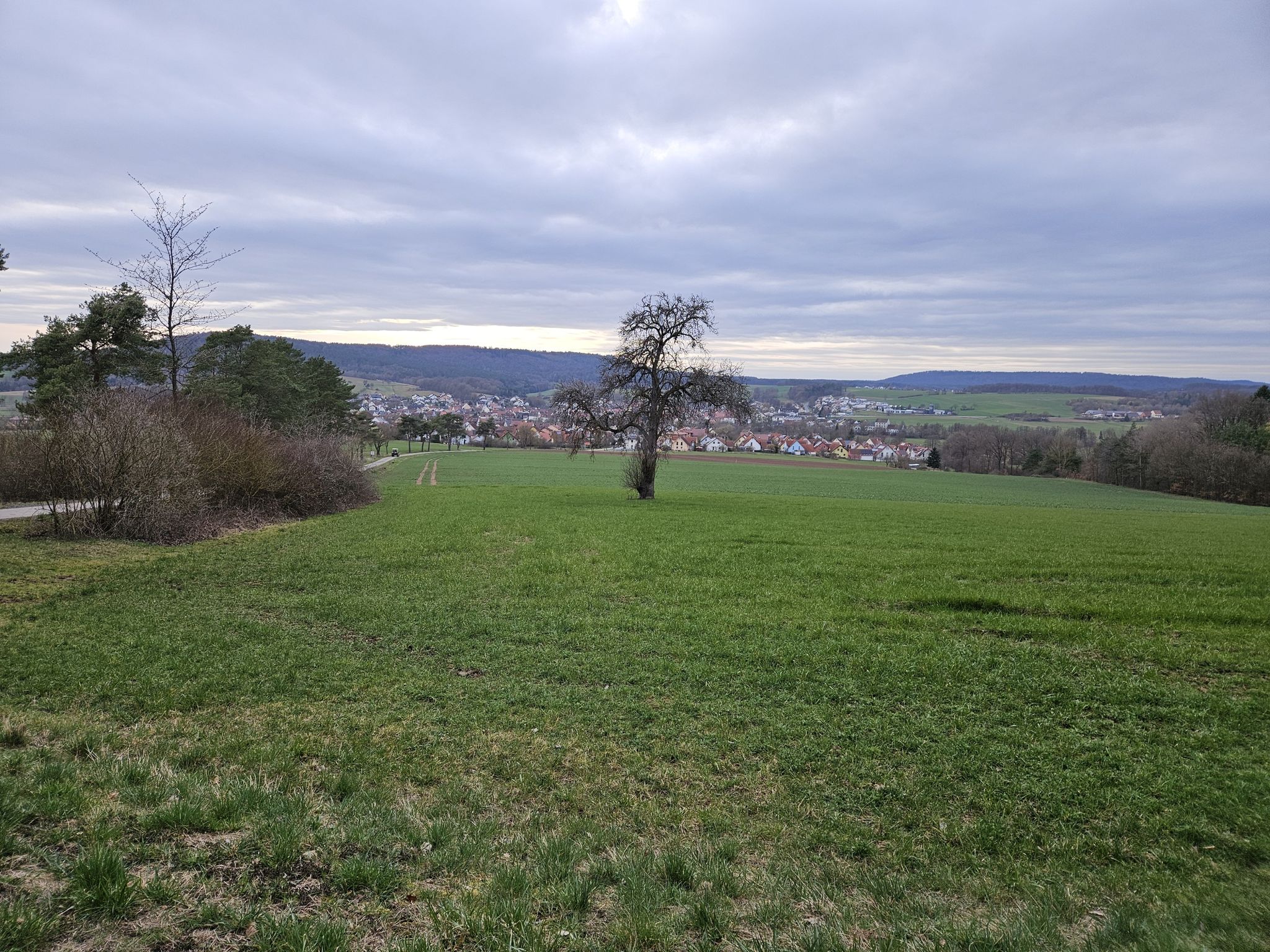Ziel Reckendorf
