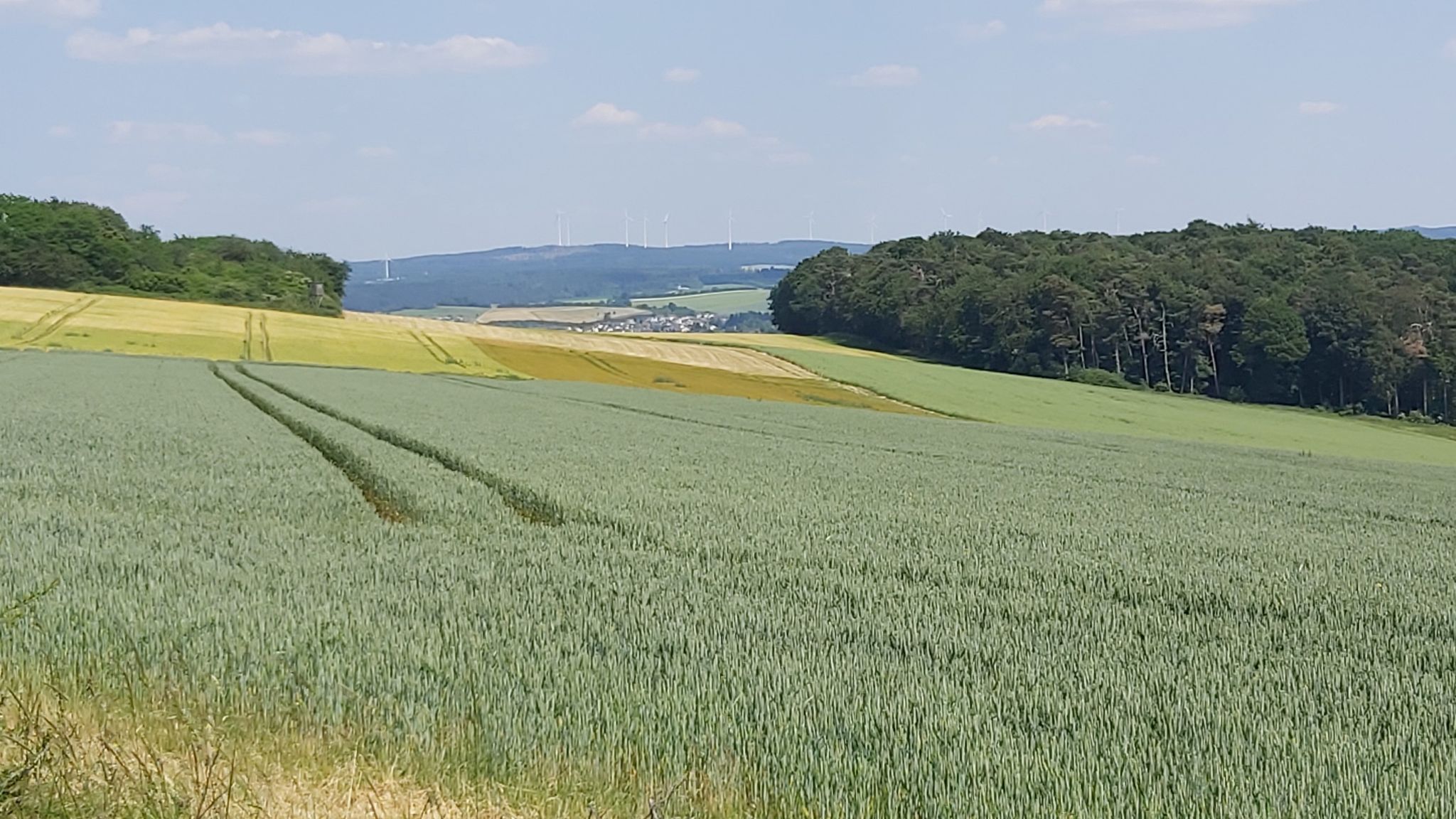 Blick auf Nastätten / Buch?