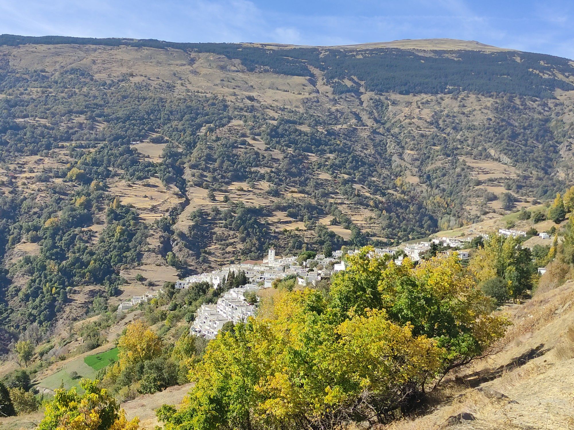 Capileira