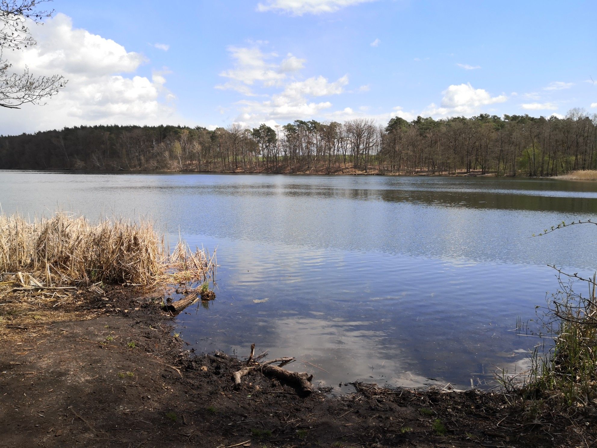 Trebuser See
