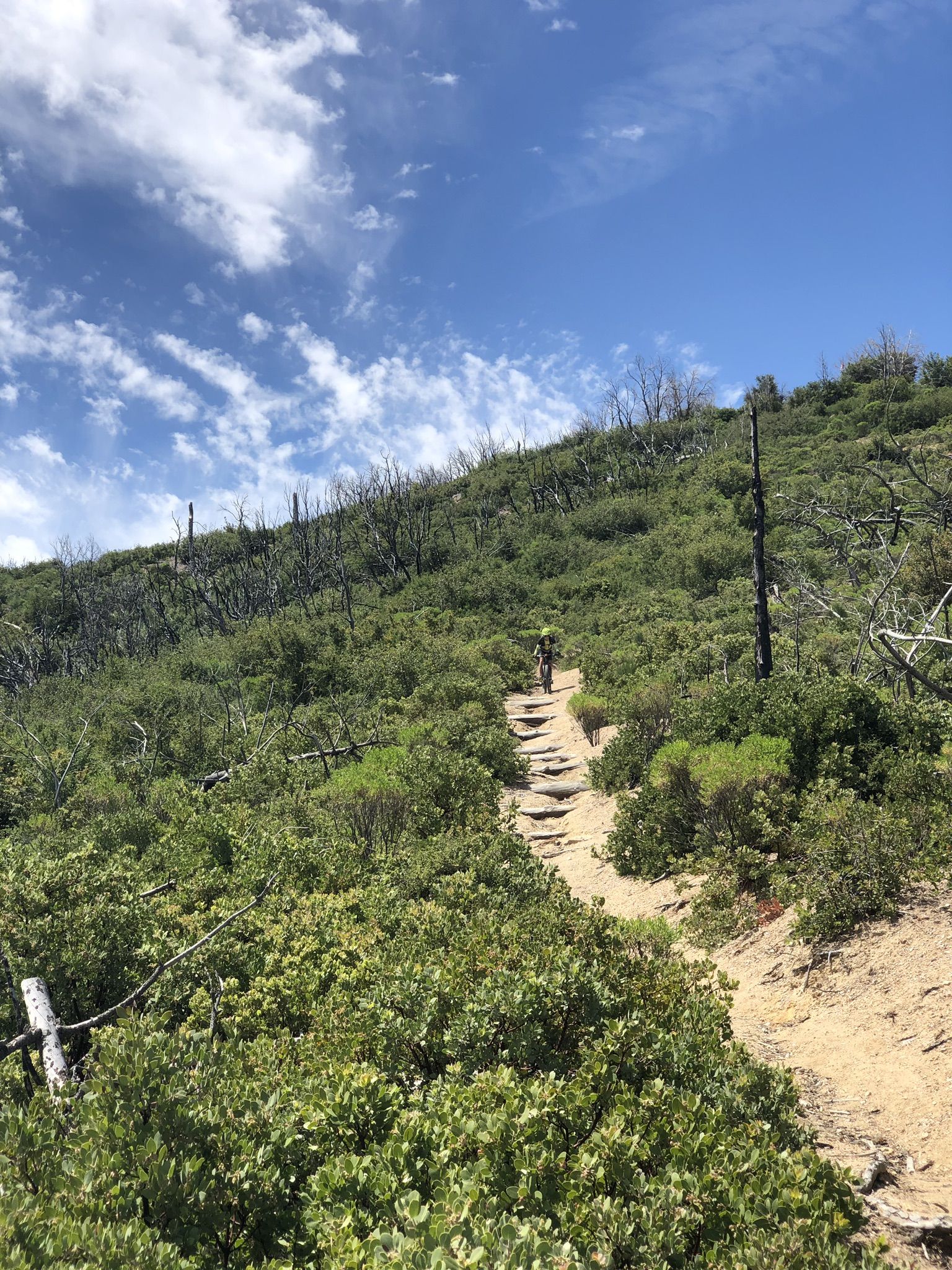 A person hikes up a steep, winding dirt path on a sunny, green hillside. - Vetter Mountain Fire Lookout Tower – Angeles National Forest