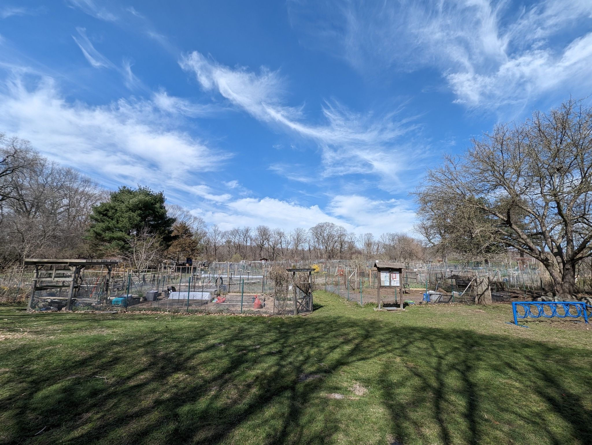 Sunny community garden plots with fences, grass, and trees under blue sky. - Western Greenway and Beaver Brook Loop