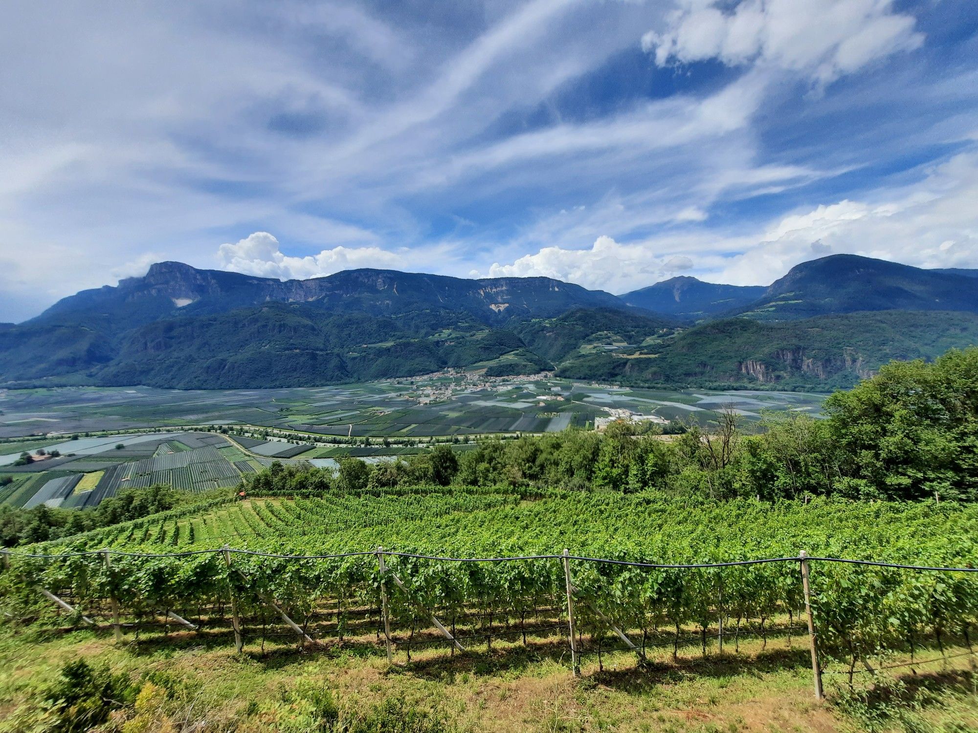 Blick auf Nals