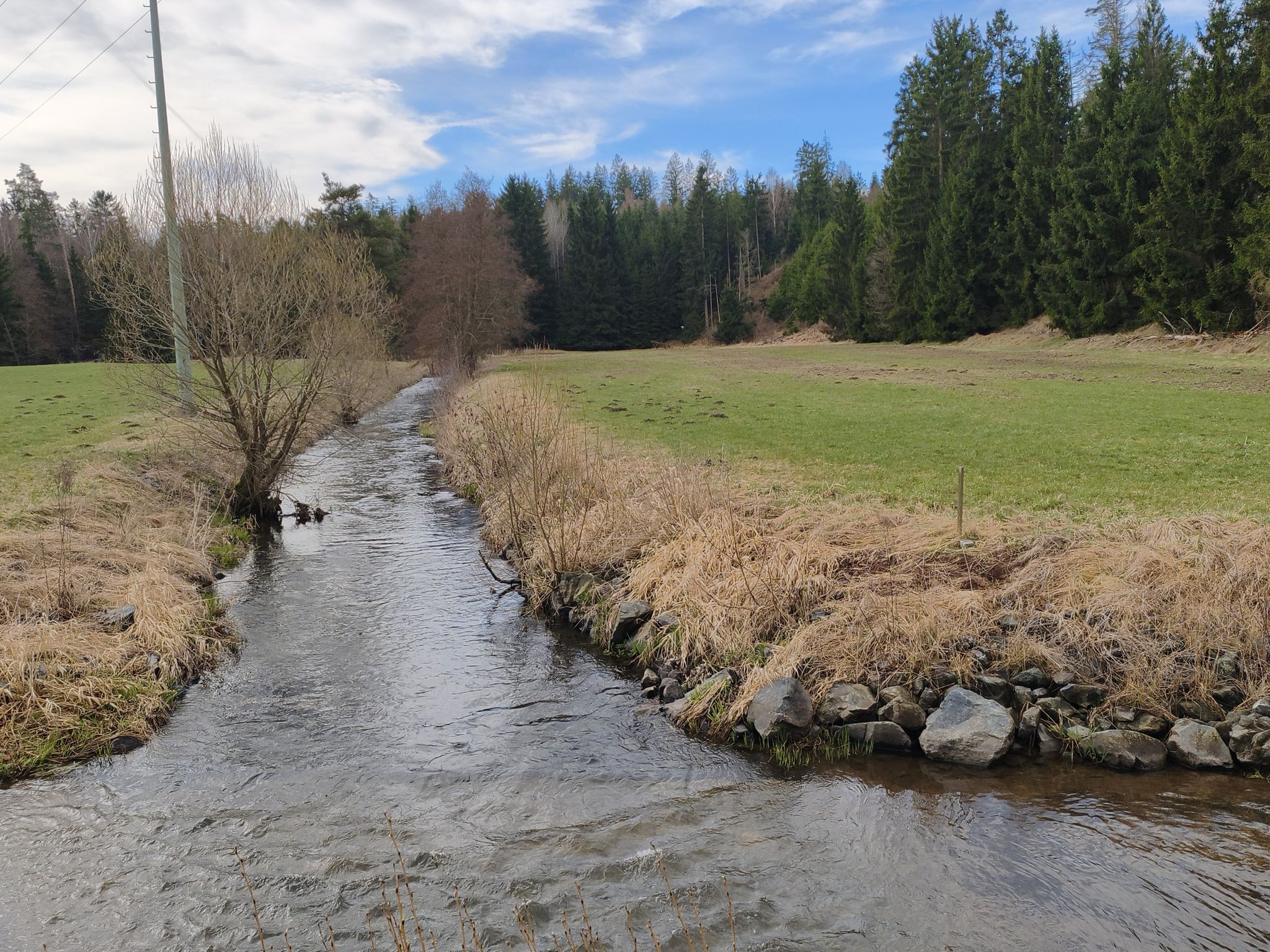 Schwesnitz