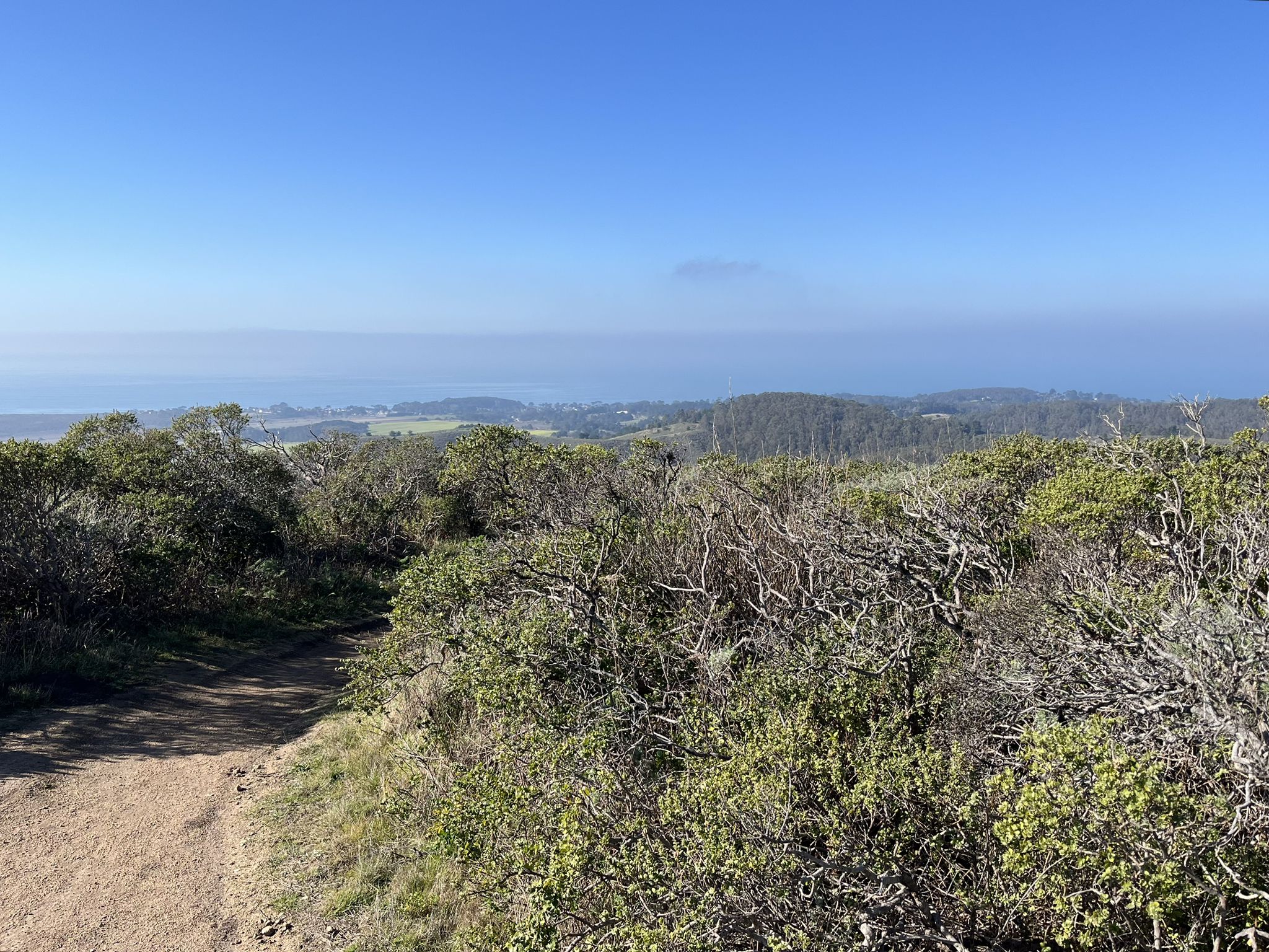 Sunny overlook of rolling hills, dense brush, and a distant hazy horizon. - Clipper Ridge and French Trail Loop