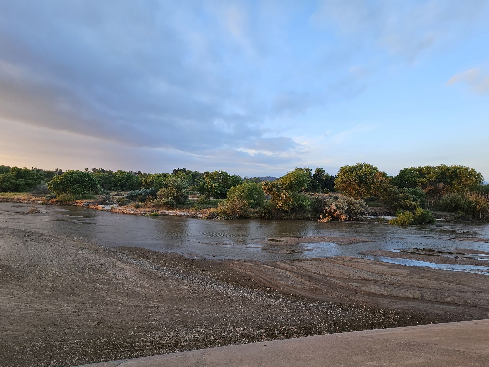 A wide, muddy river flows past green trees under a cloudy sky. - Santa Clara River and San Francisquito Creek Trail Loop