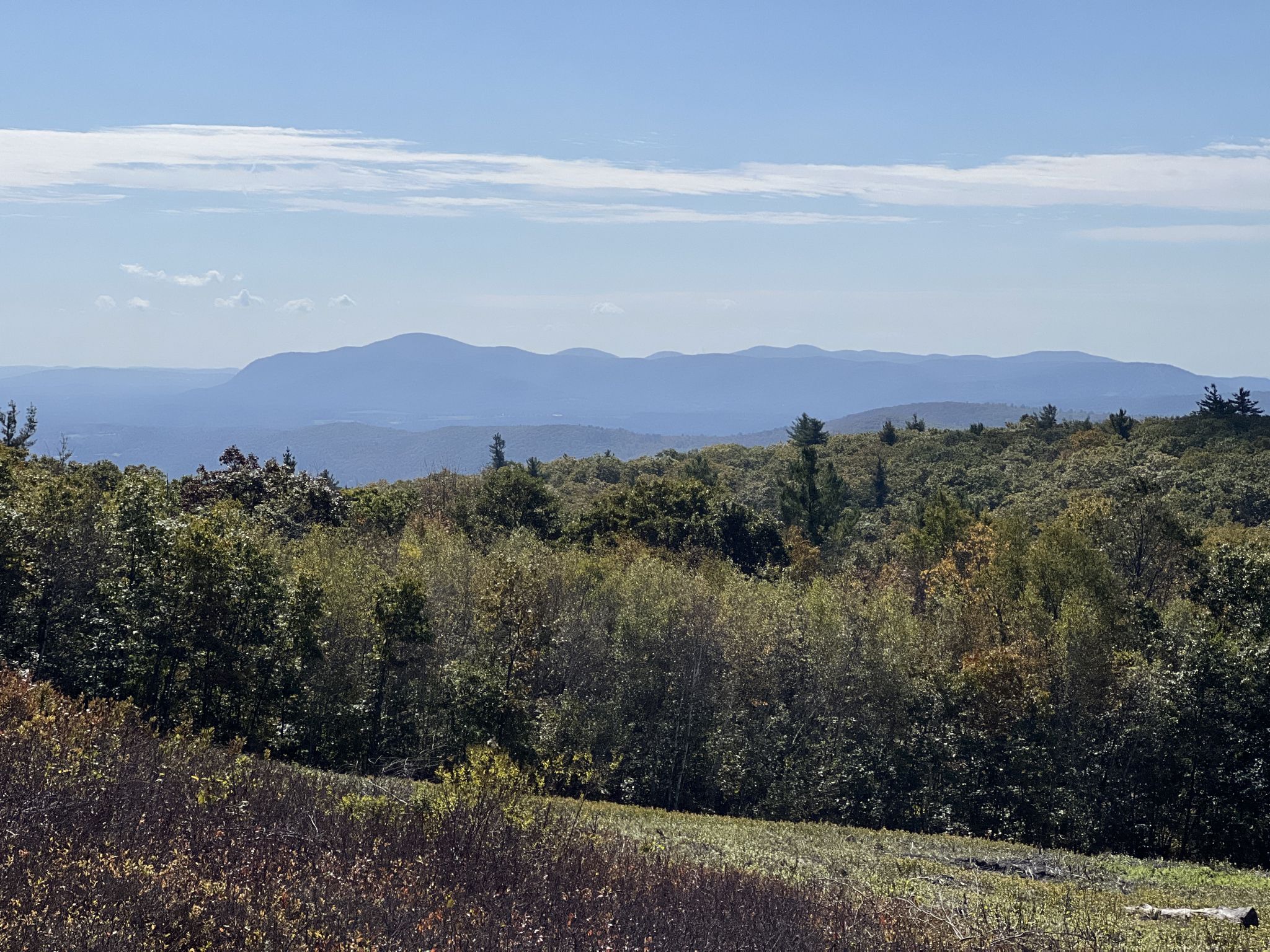 Panoramic view of forested hills and distant hazy blue mountains. - Harvey Mountain and Pinnacle Point Loop