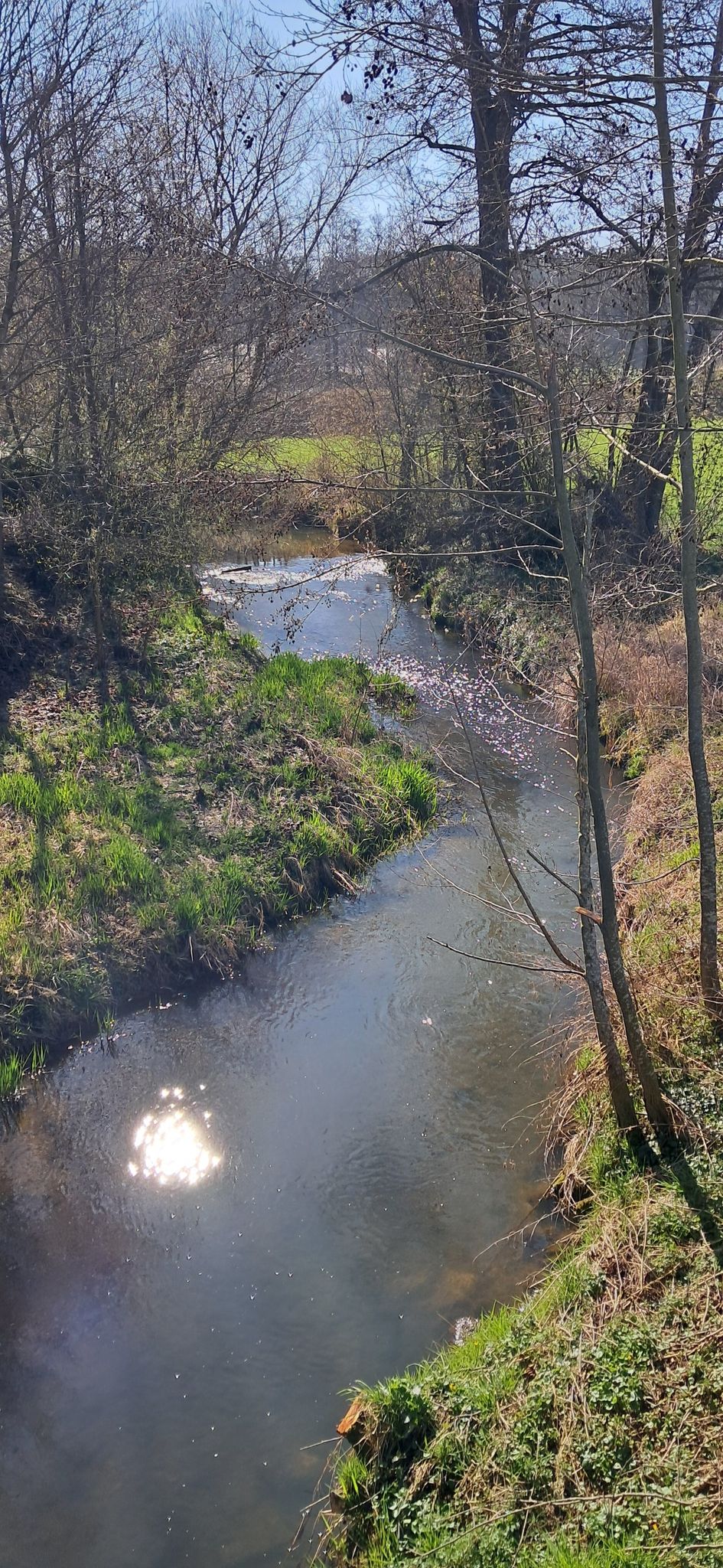 Zeller Bach