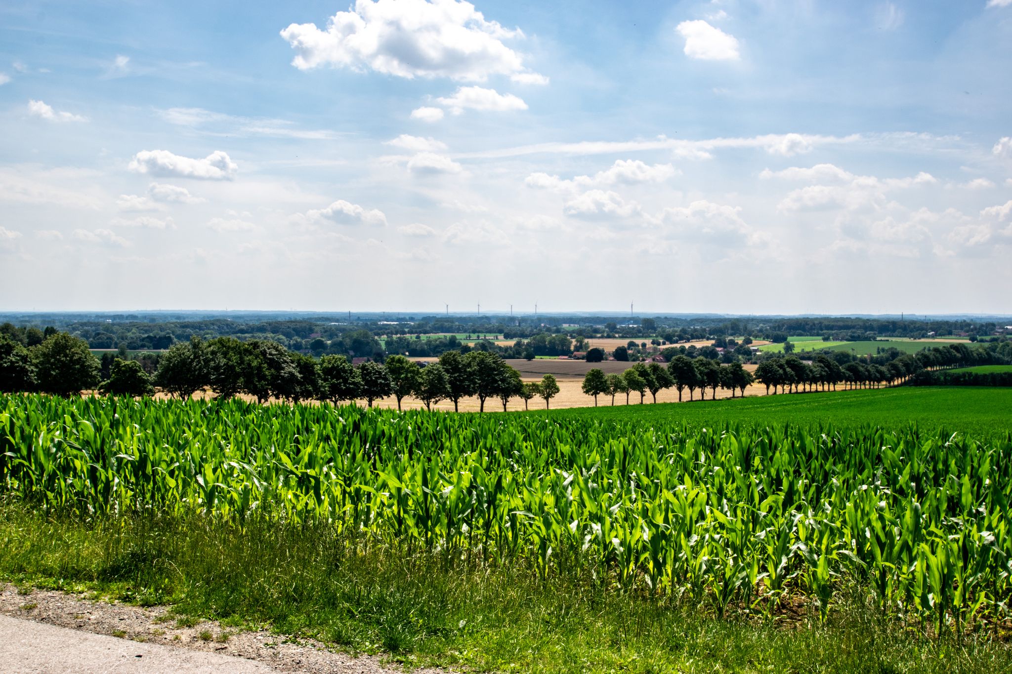 Blick über das Stevertal nach Nottuln