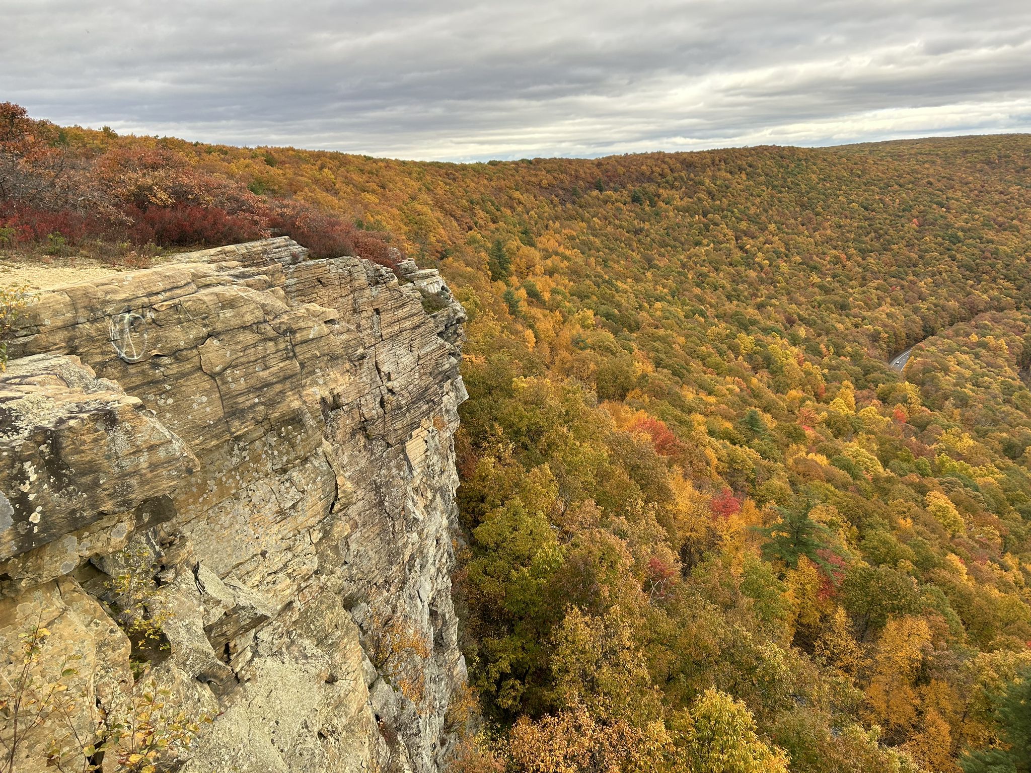 Rocky cliff overlooks a vast valley of vibrant autumn trees under cloudy skies. - Top of the World Trail