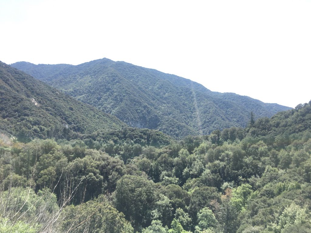 A wide view of lush green forested mountains under bright, hazy daylight. - Mount Zion via Sturtevant and Lower Winter Creek Trail Loop