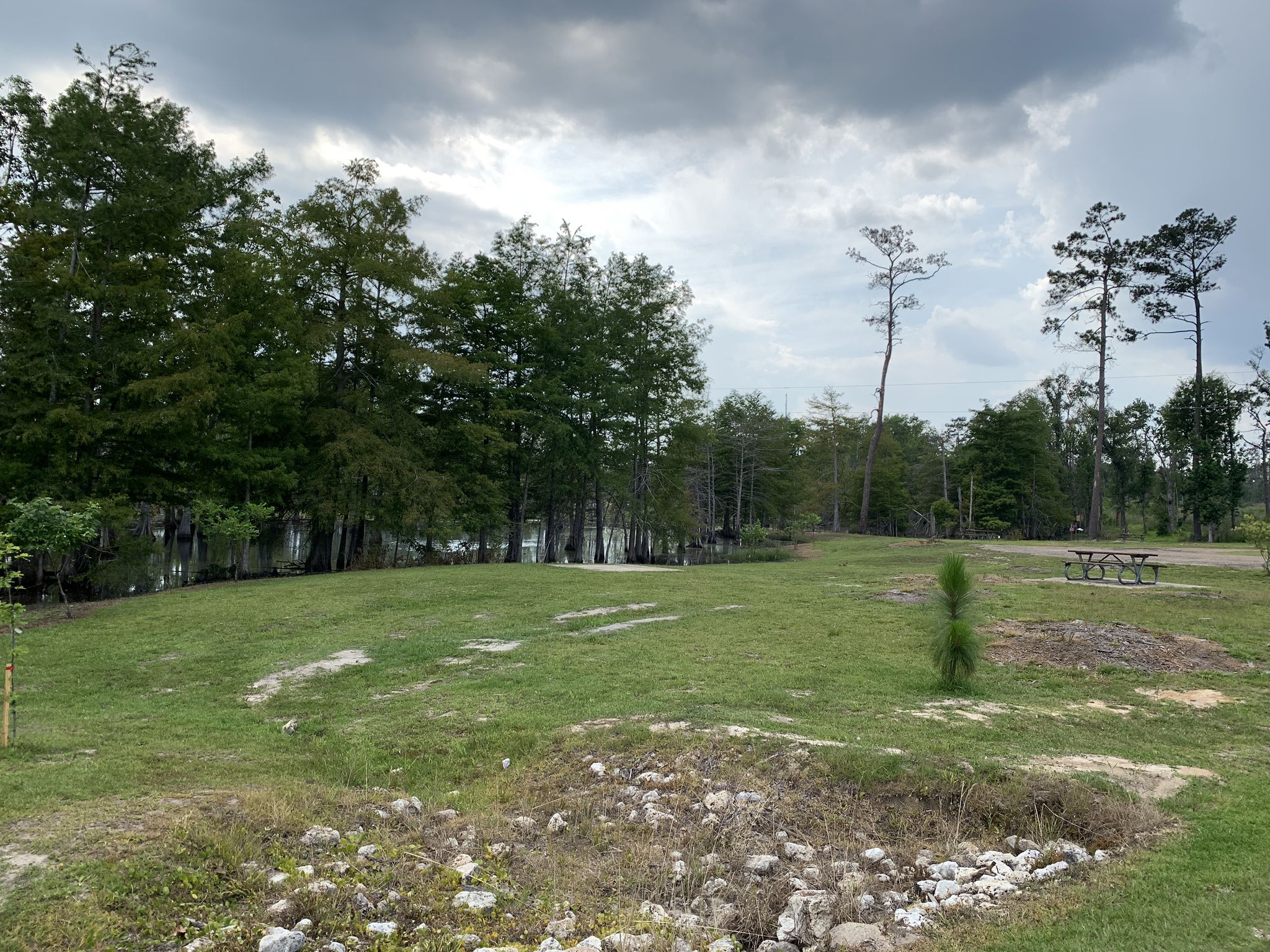 Grassy field with trees, water, and a picnic table under a cloudy sky. - Sam Houston Jones State Park loop via Sutherland Road