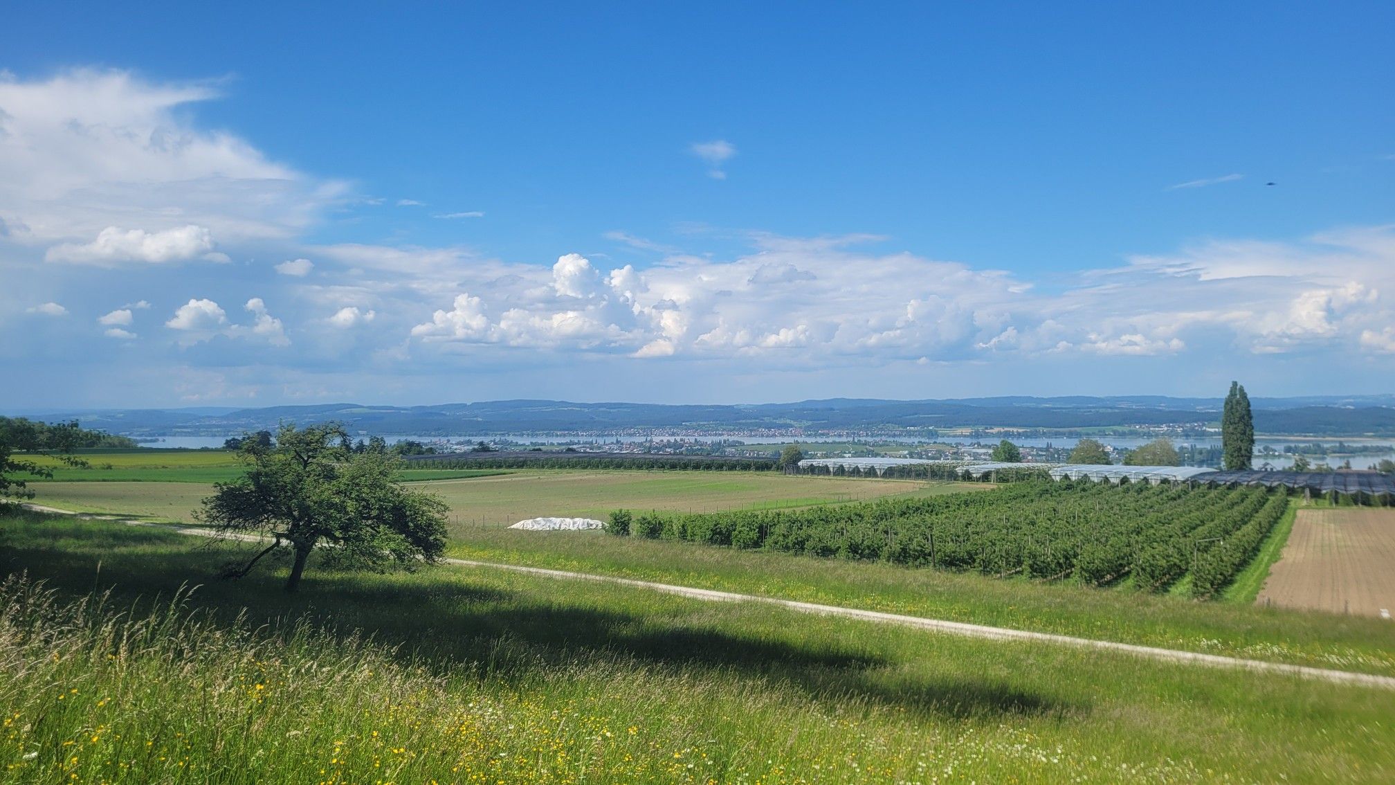 ob Ermatingen