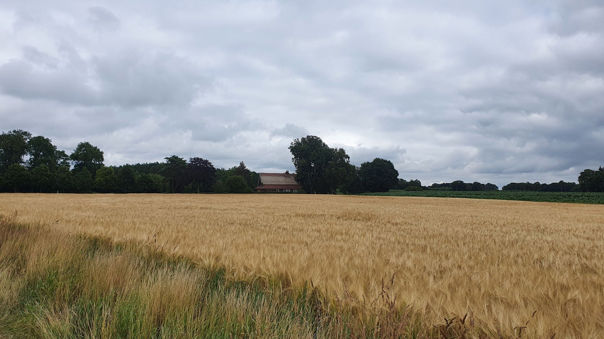 Weites Land