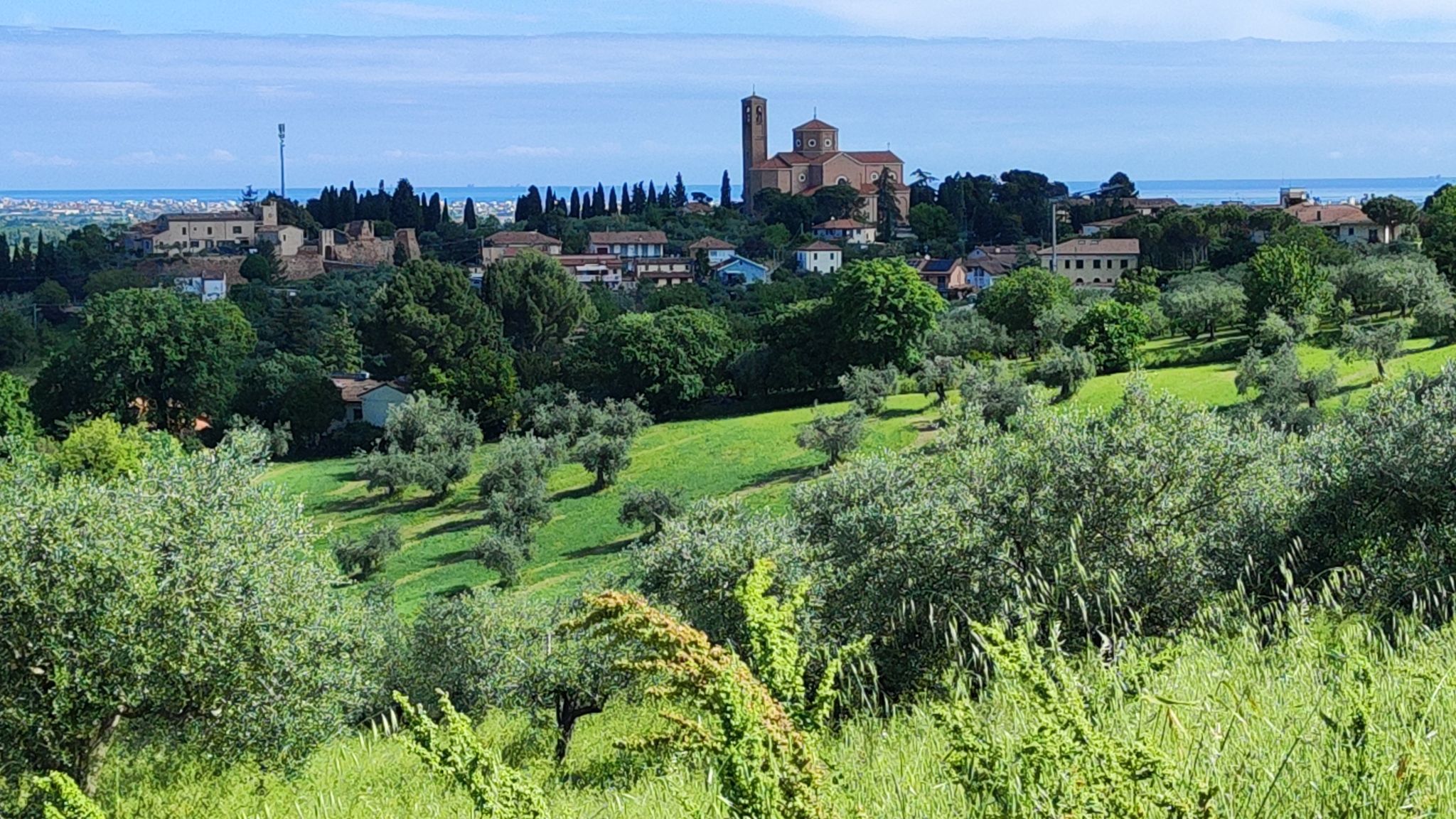 Coriano