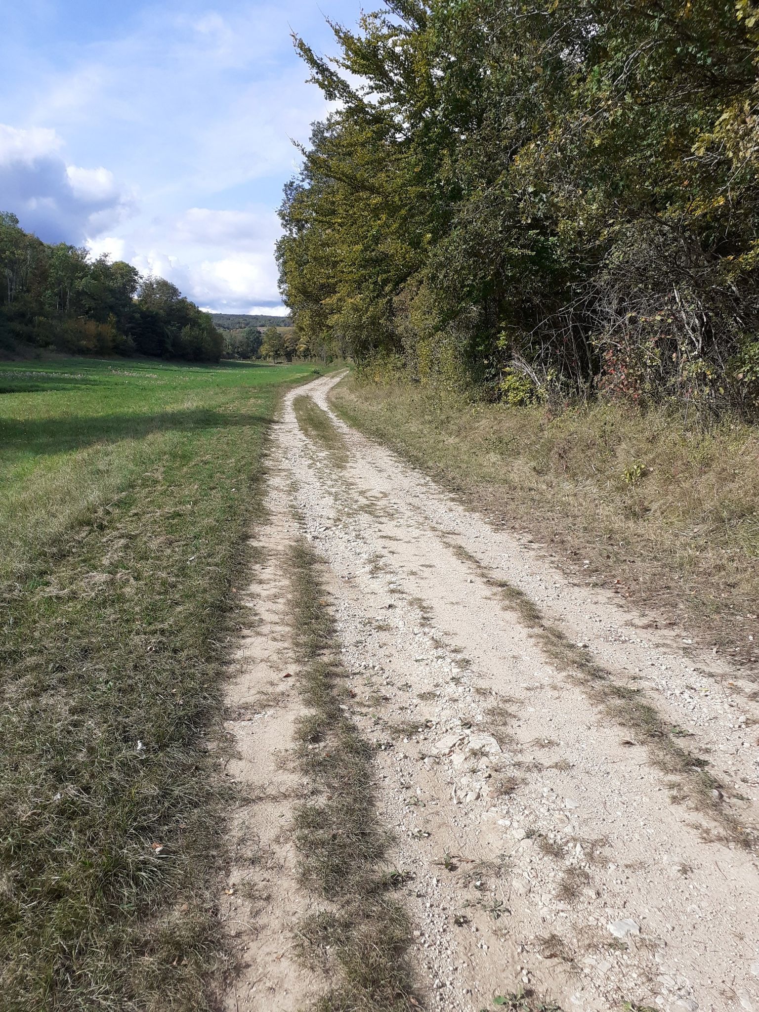 chemin praticable en gravel