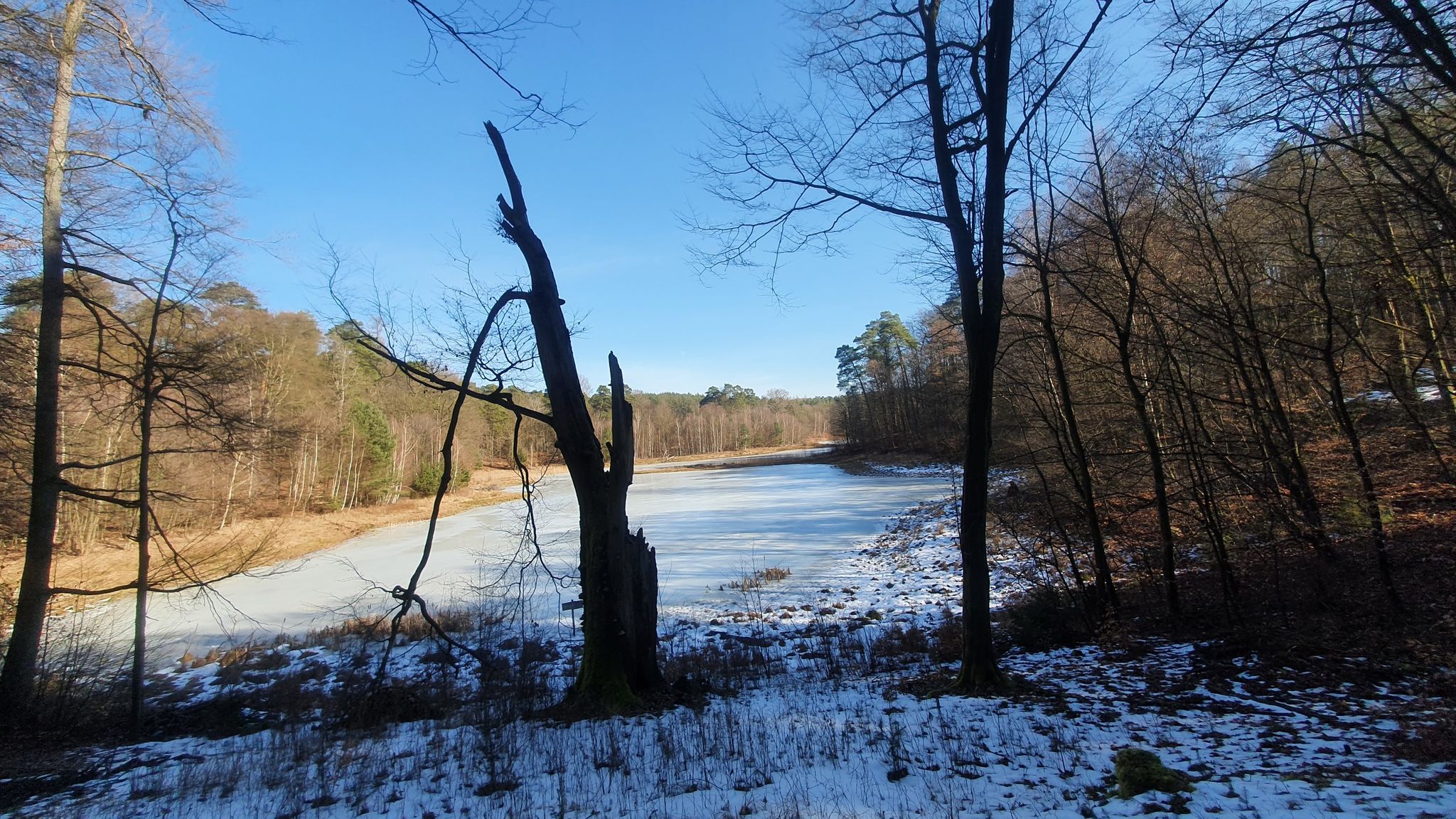 Fauler See