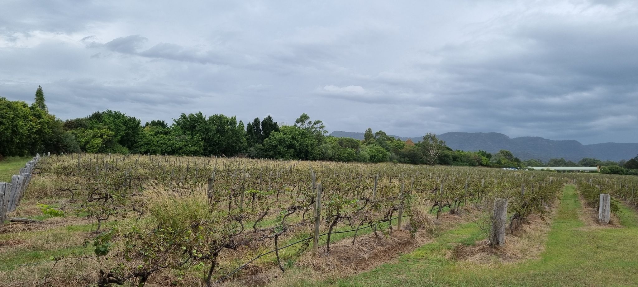 Hunter Valley