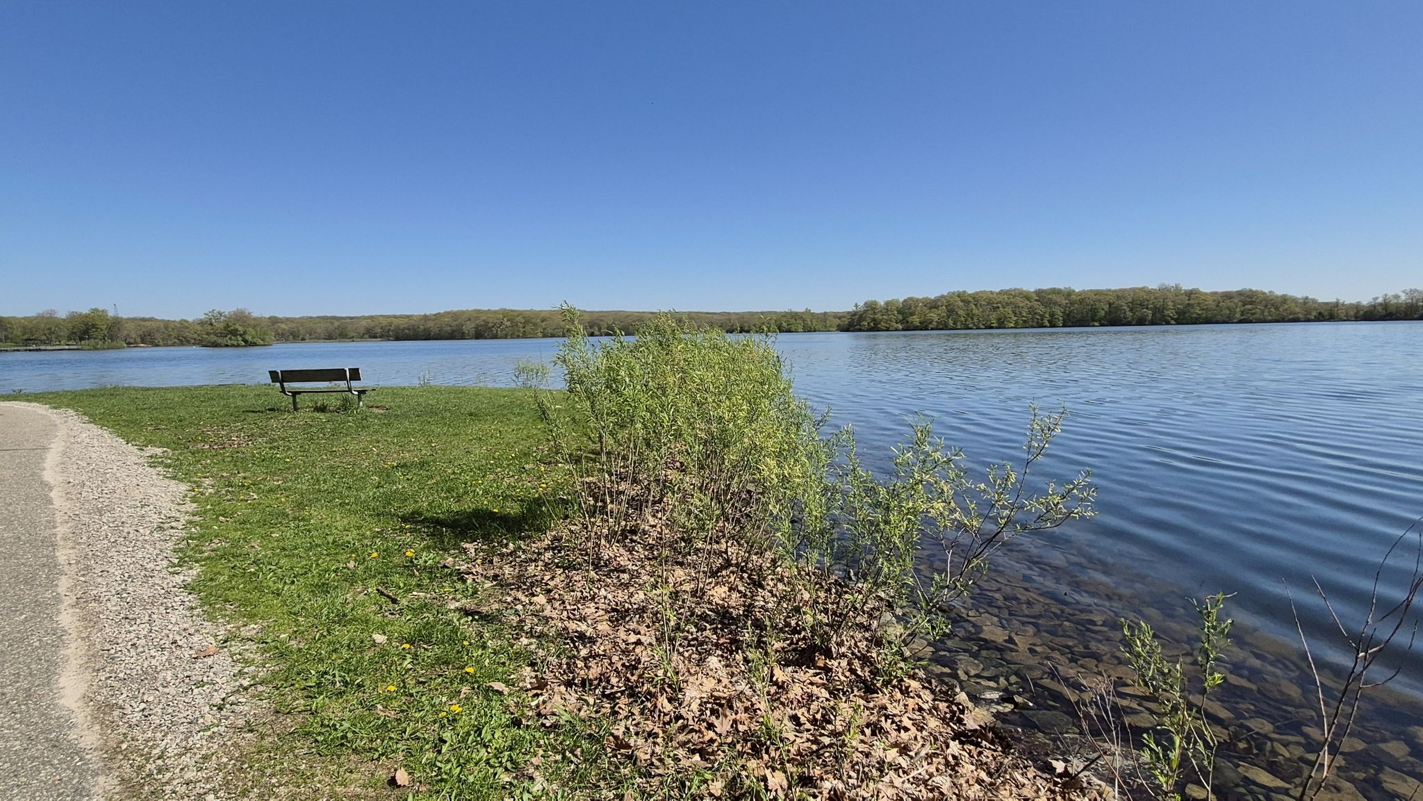 Empty park bench by a calm lake with trees in the distance, bright daylight. - Hike-Bike Trail