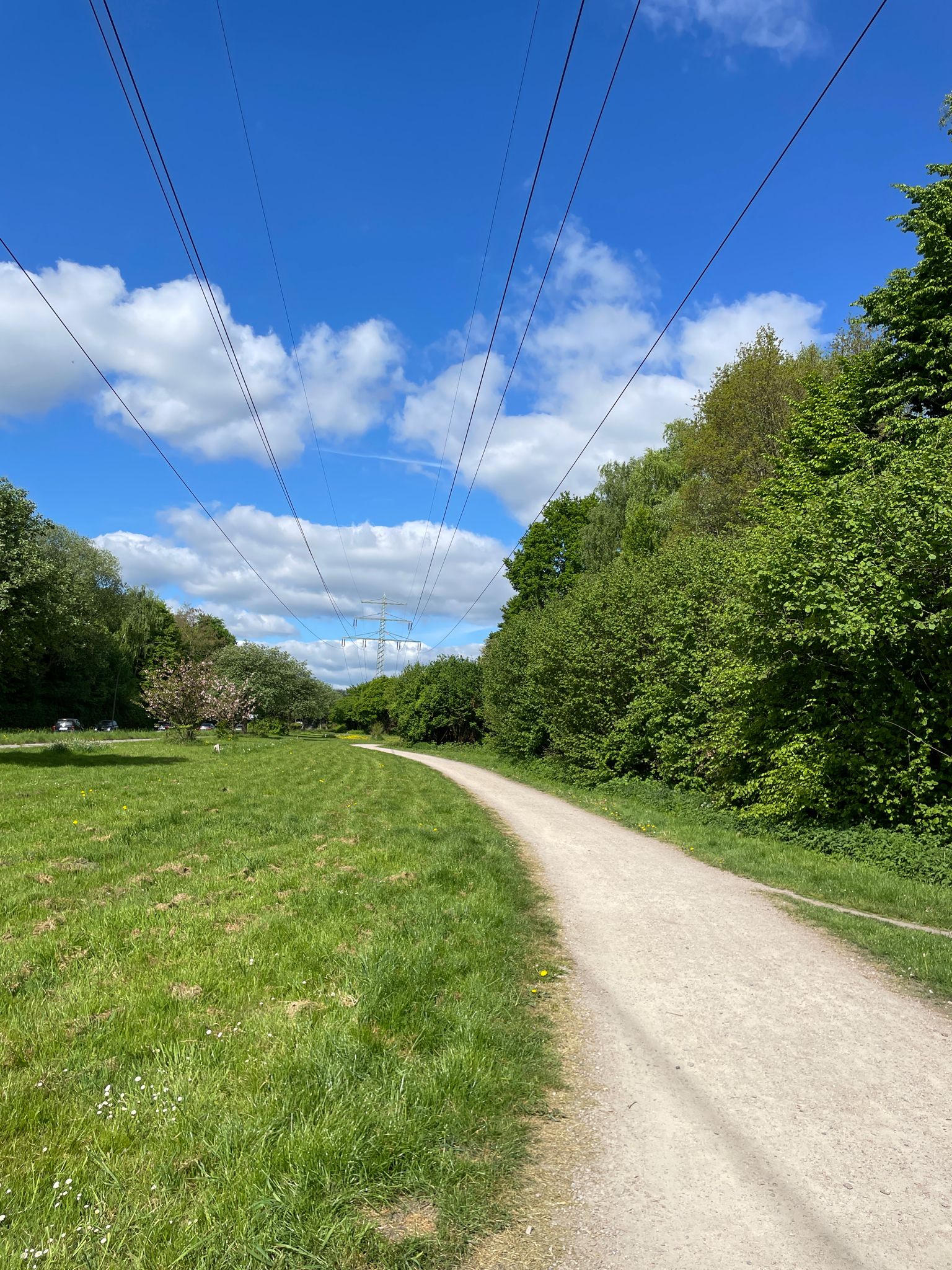 Grünzug an der Steilshooper Allee
