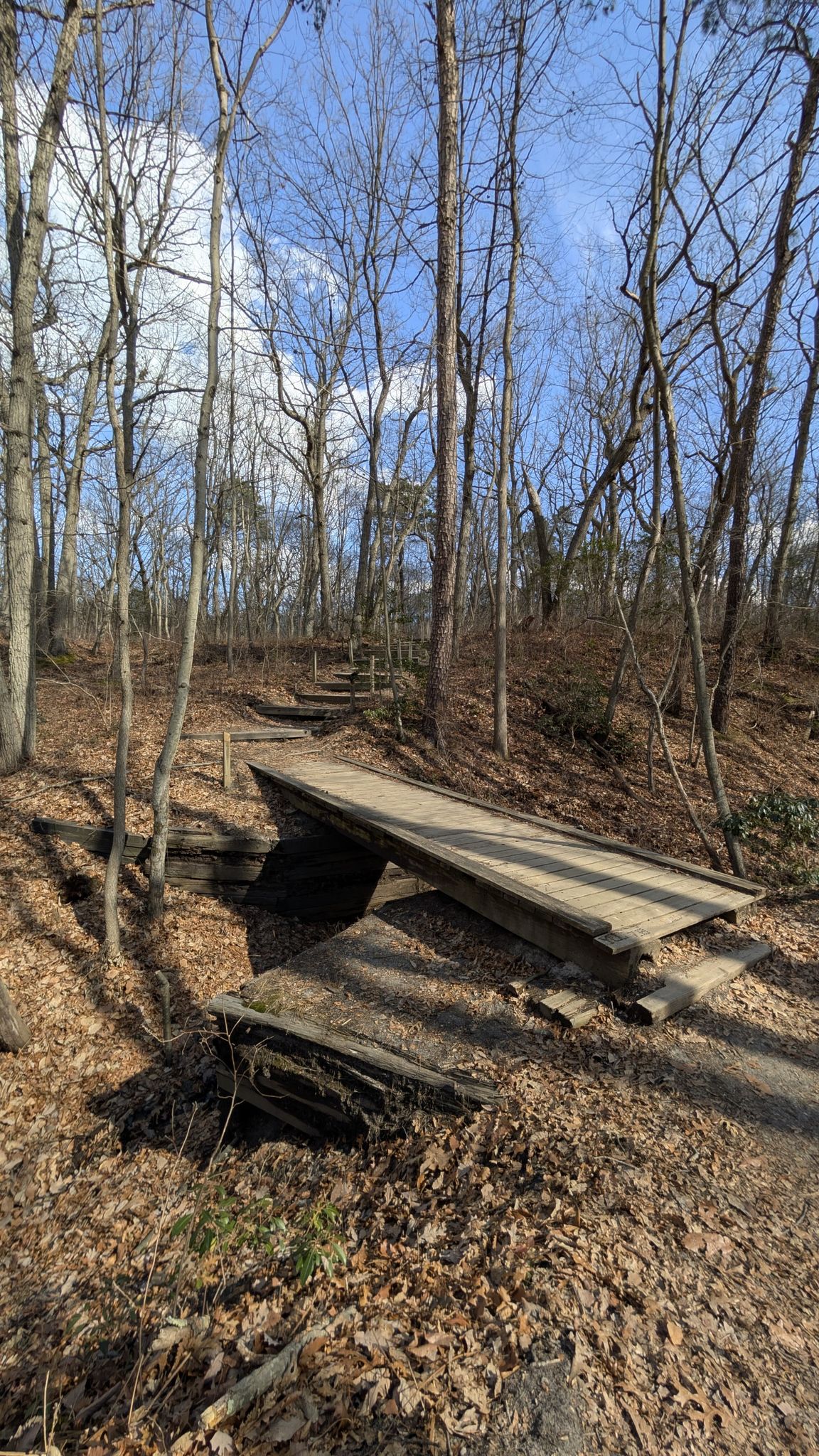 Sunny forest path with a wooden bridge and stairs among bare trees. - Cheesequake Green Trail