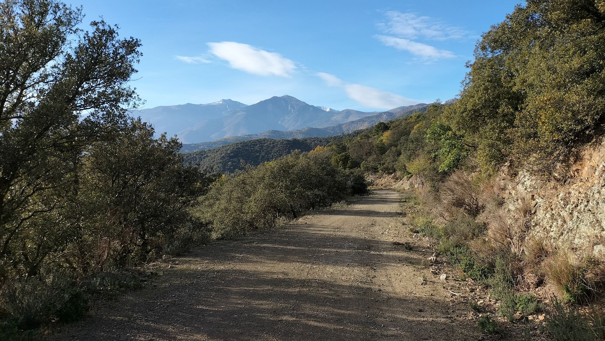 côté Canigou