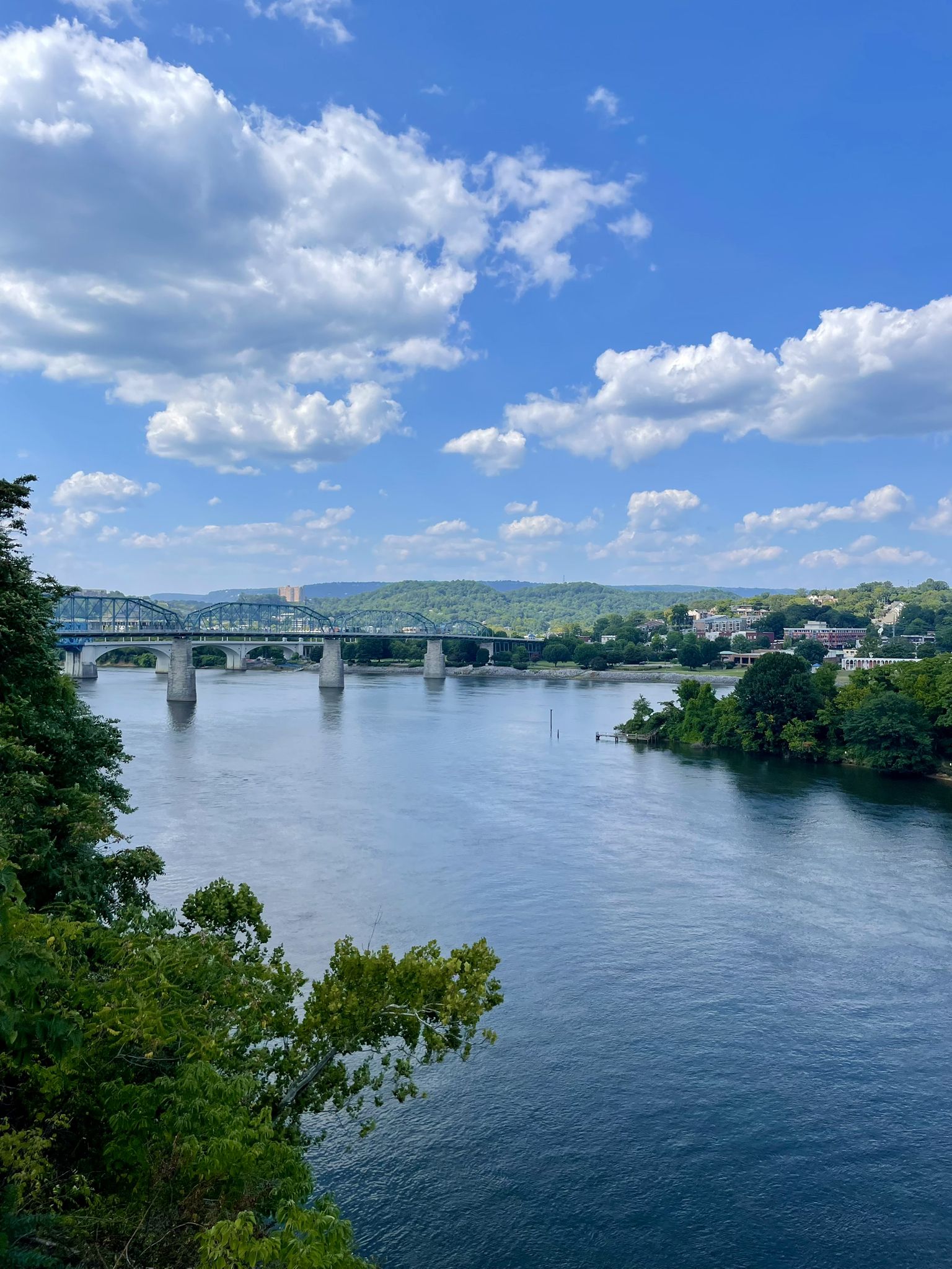 Expansive river view with multiple bridges, green trees, and bright blue sky. - Tennessee Riverwalk