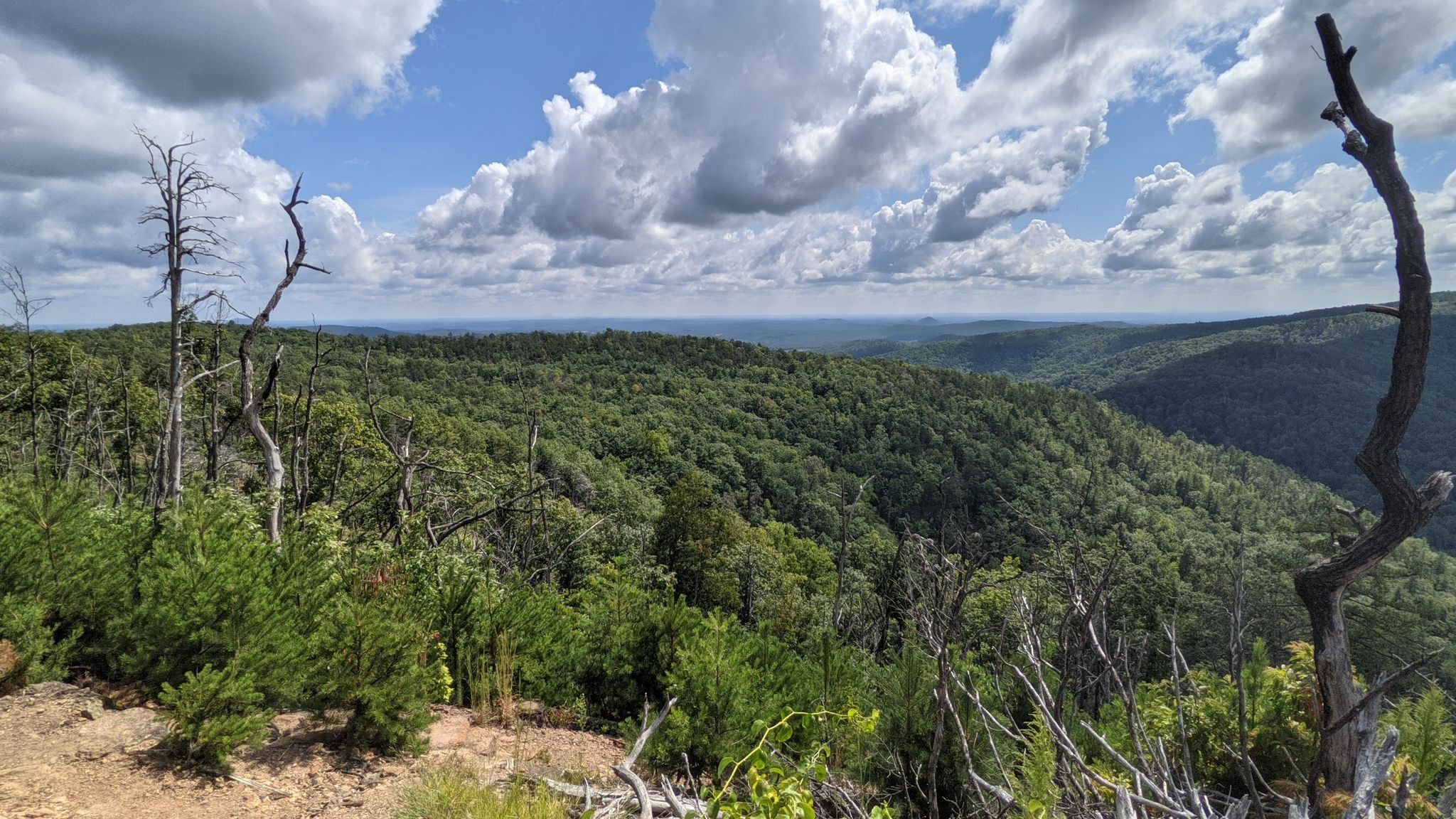 Expansive view of green forested mountains under a partly cloudy sky. - Chestnut Knob, Sawtooth, and Little River Loop