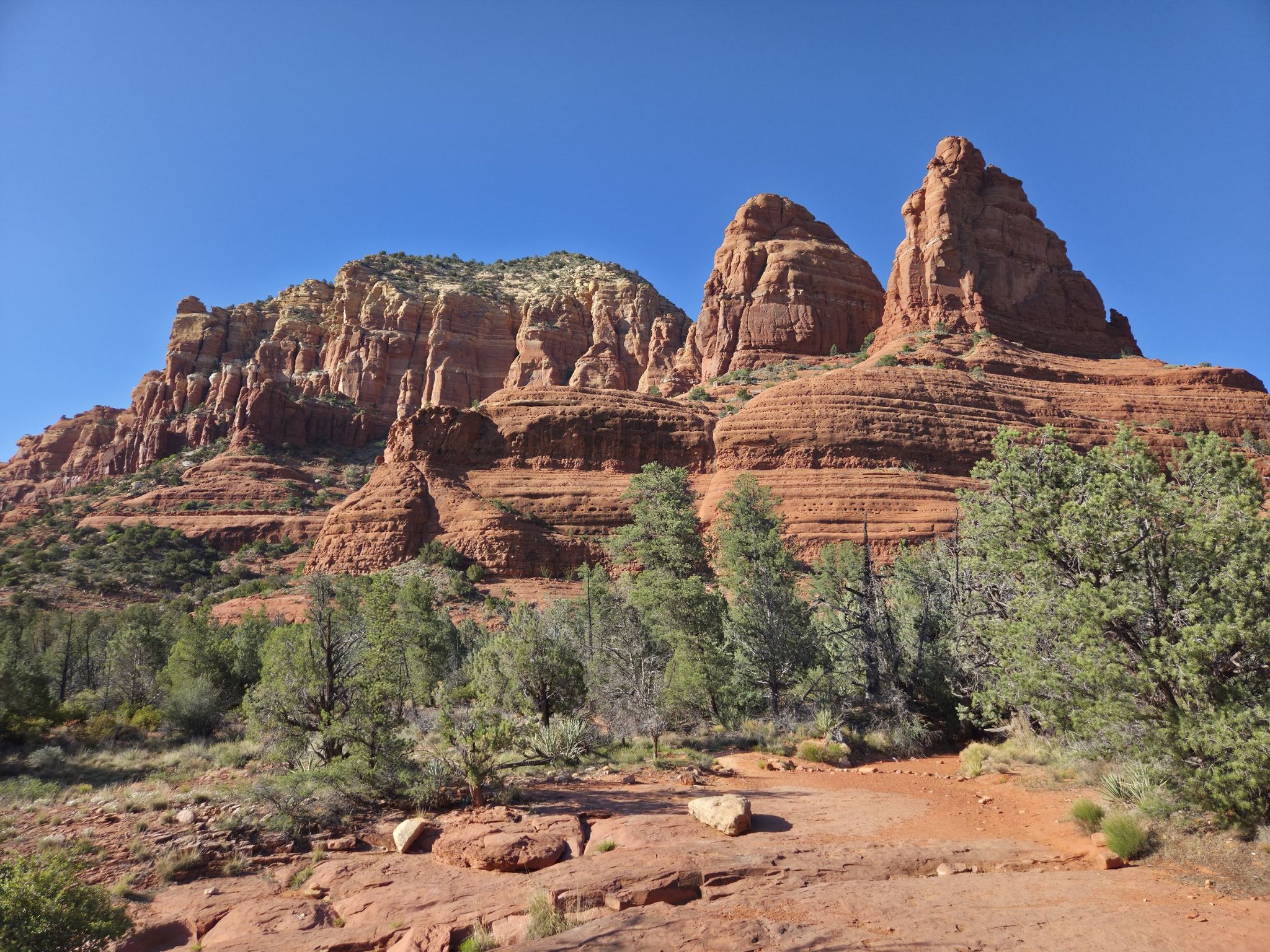 Towering red rock formations under a clear blue sky, with green trees. - Bell Rock Pathway to Llama Trail