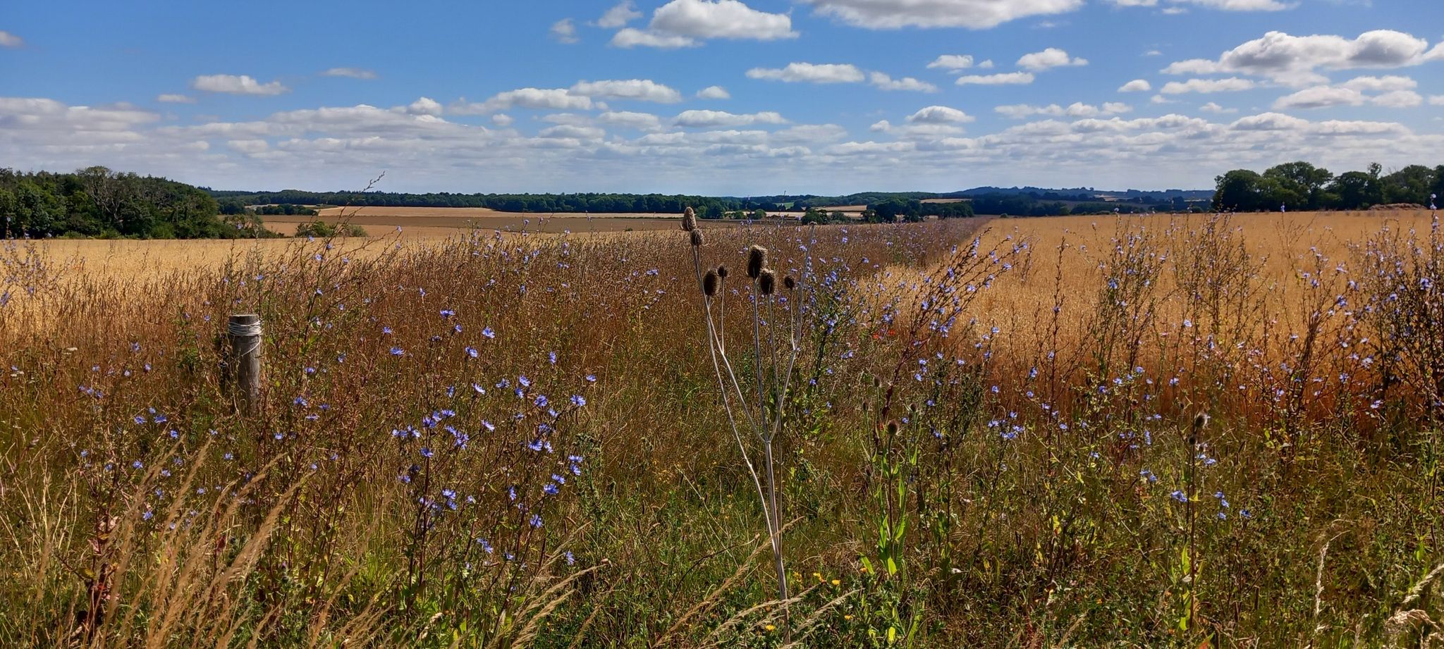Tarrant Rushton airfield
