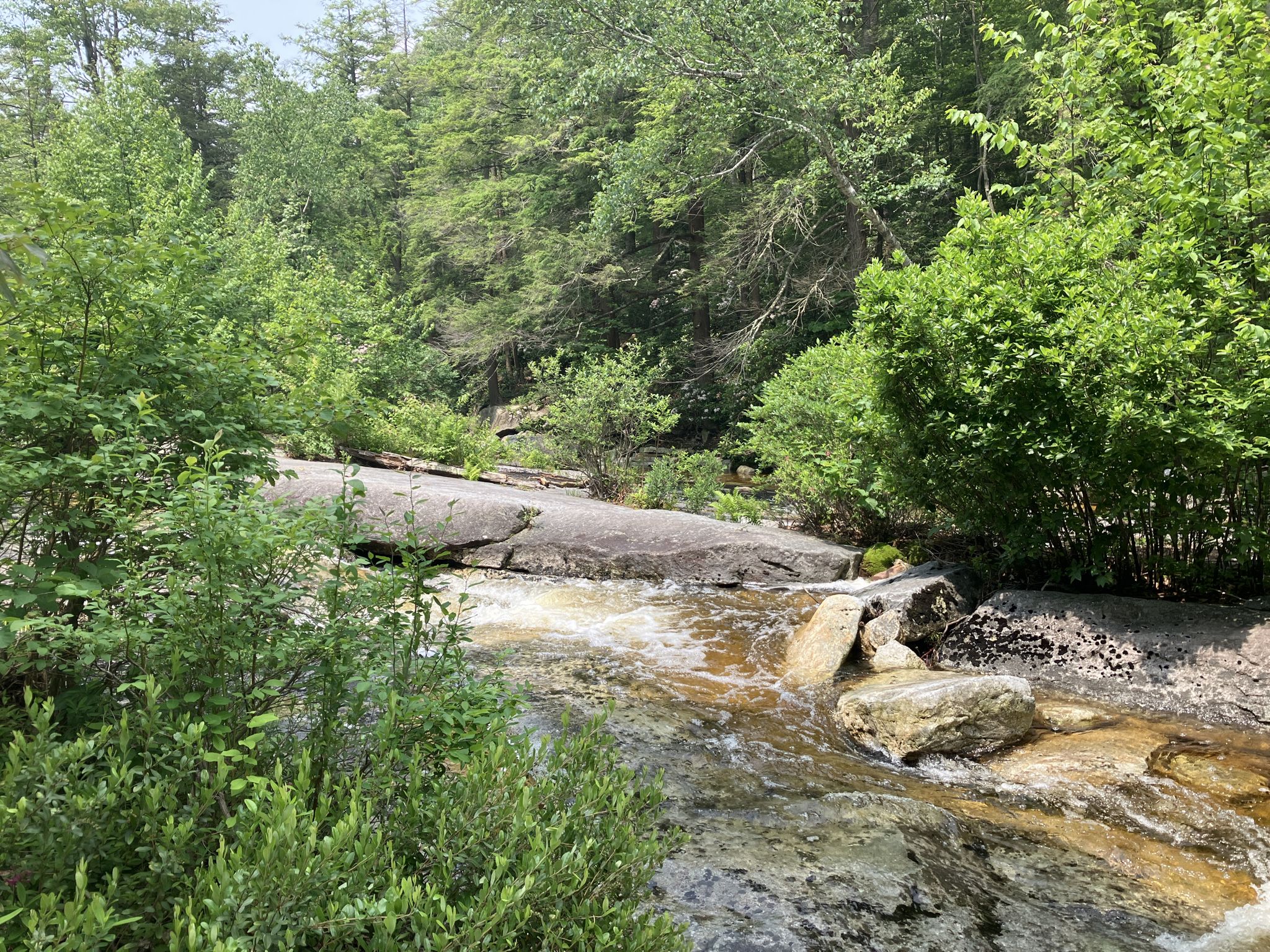 Rushing stream flows over large flat rocks in a sunlit forest. - Wawarsing Turnpike, Jenny Lane and Mossy Glen Loop