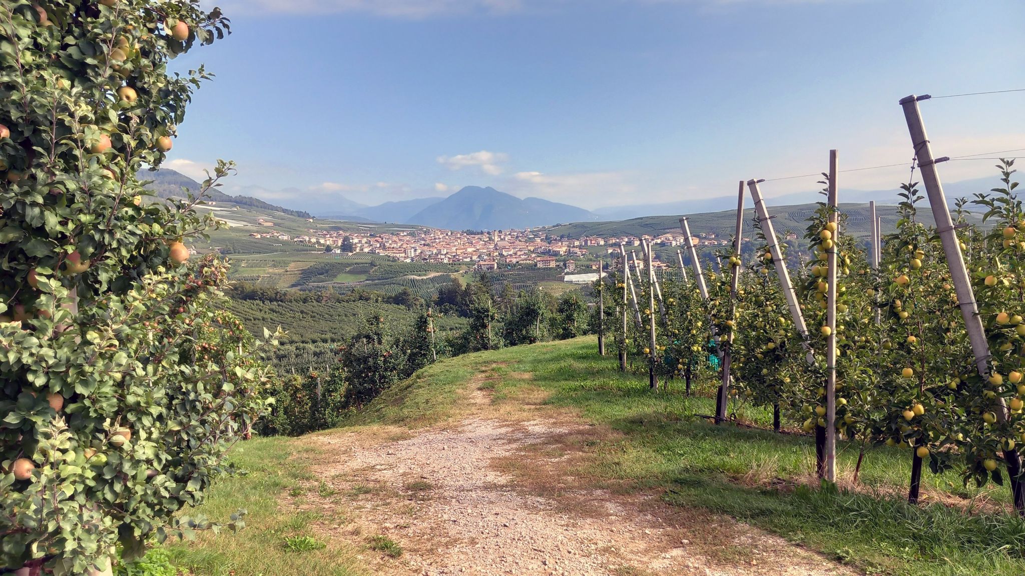 Tuenno visto dai meleti a monte di Terres
