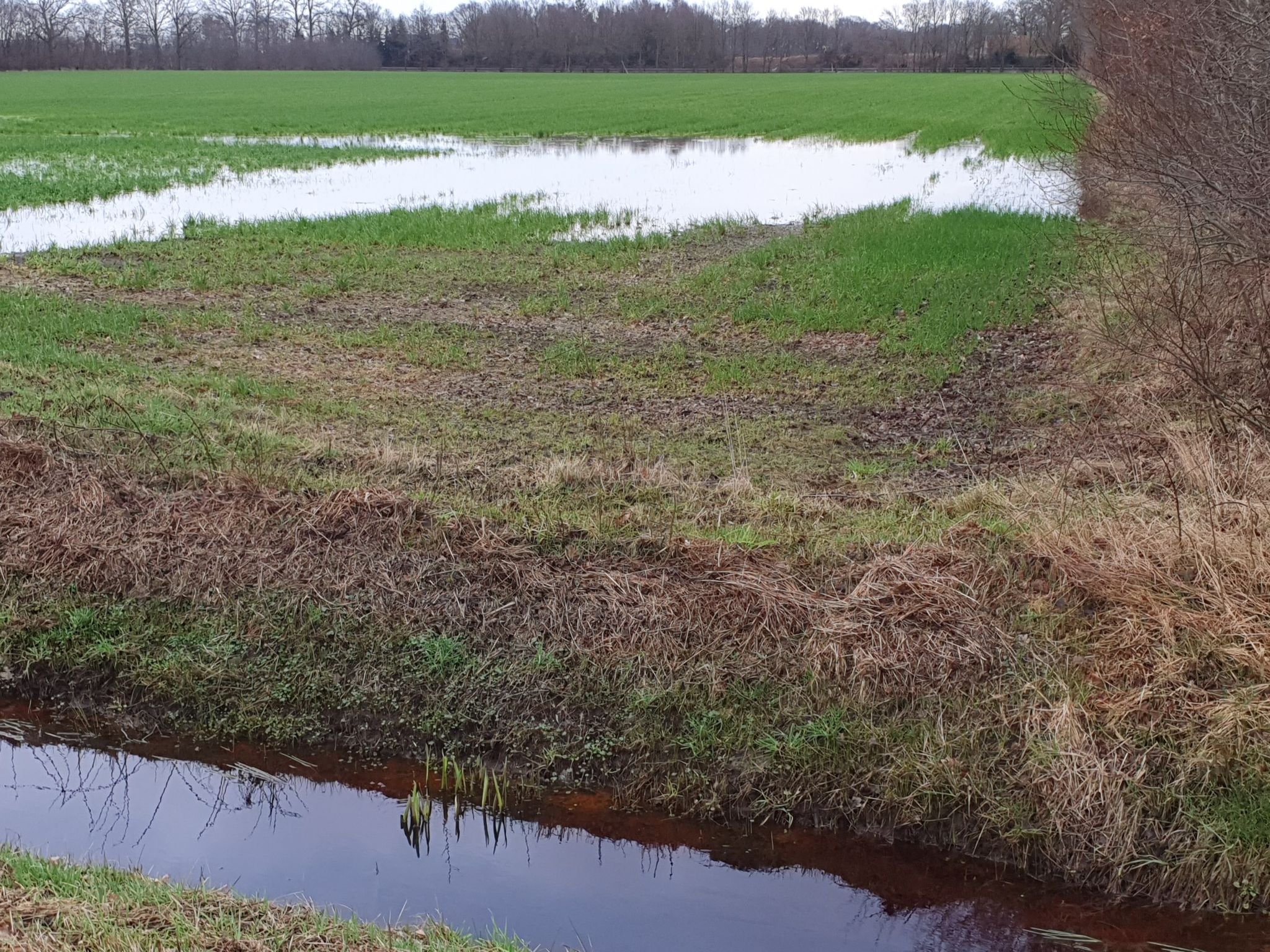 Nach ergiebige Regenfällen stehen Ackerflächen unter Wasser.