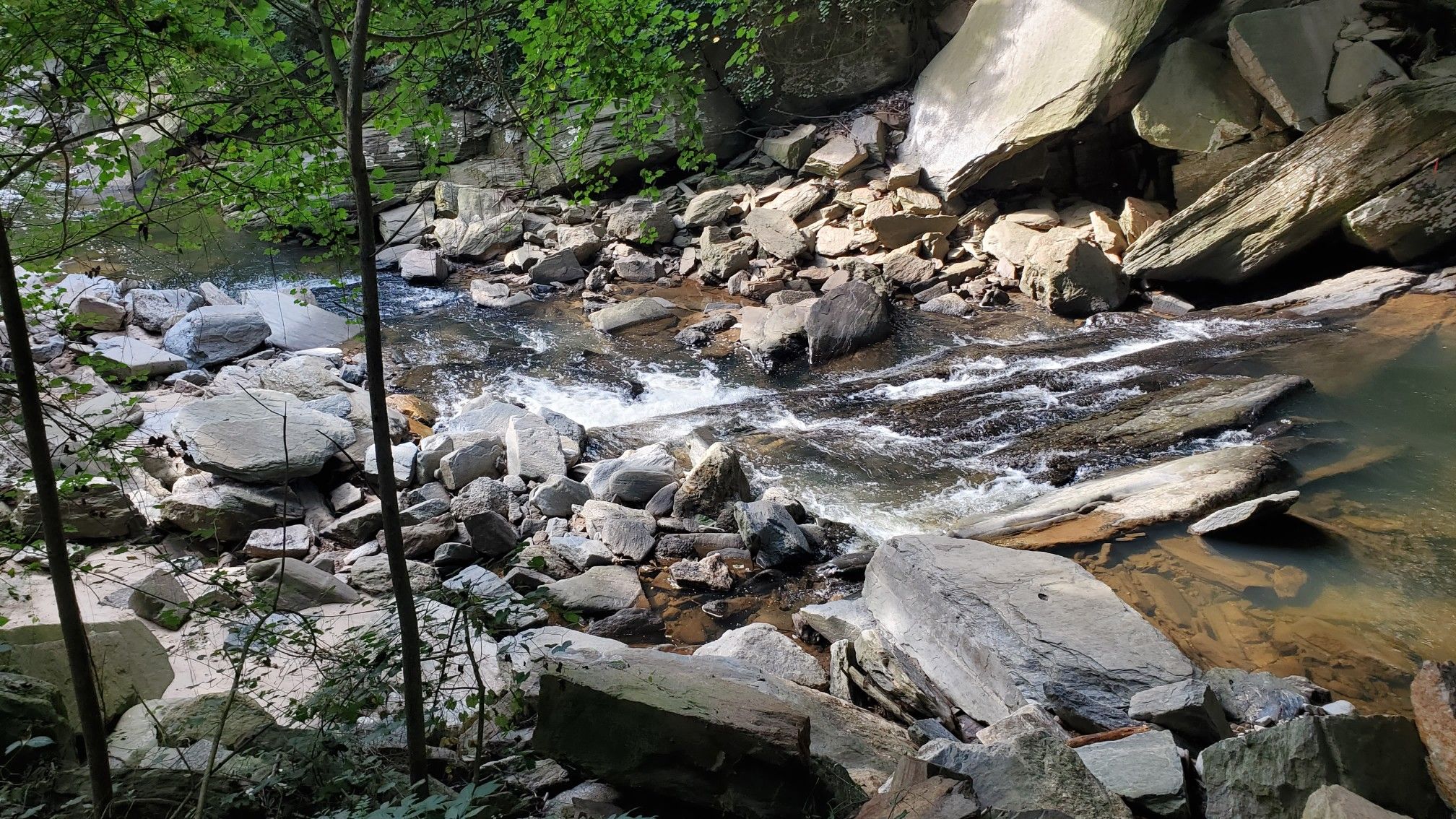 Rocky stream flowing through a lush, shaded forest with dappled sunlight. - Sandy Springs to Powder Springs via Silver Comet Trail
