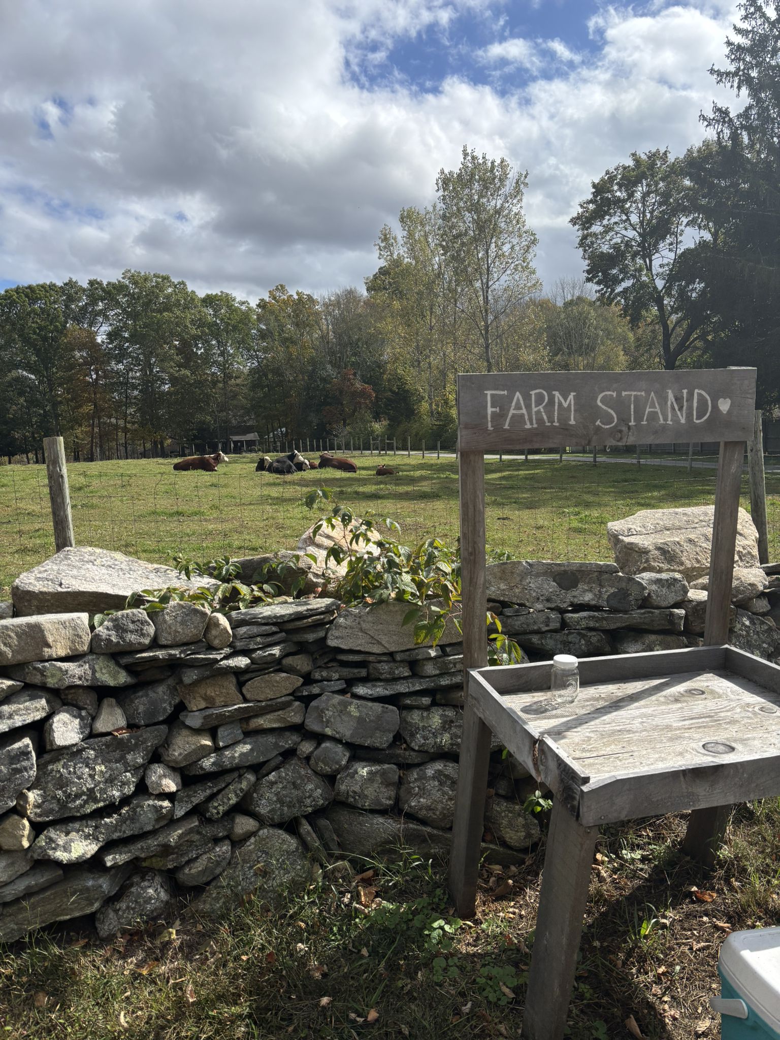 Farm stand sign and stone wall next to a green field with animals. - Kinsman Hill Stone Arch Bridge loop from Taftville