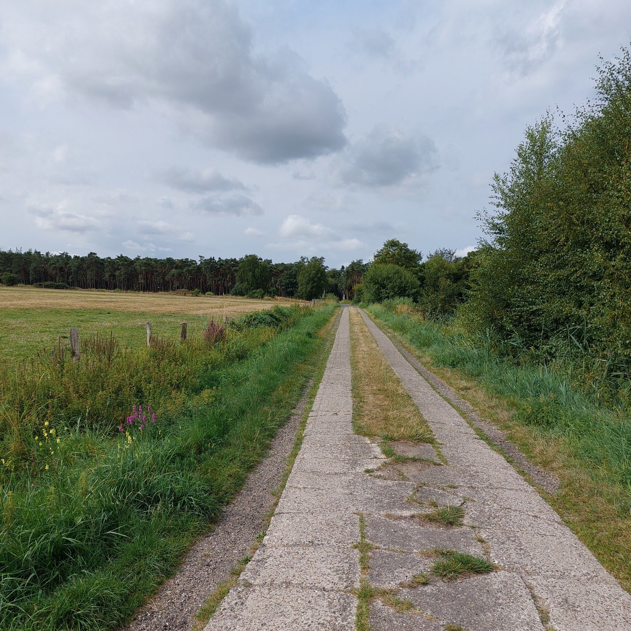 Auf zum Waldweg