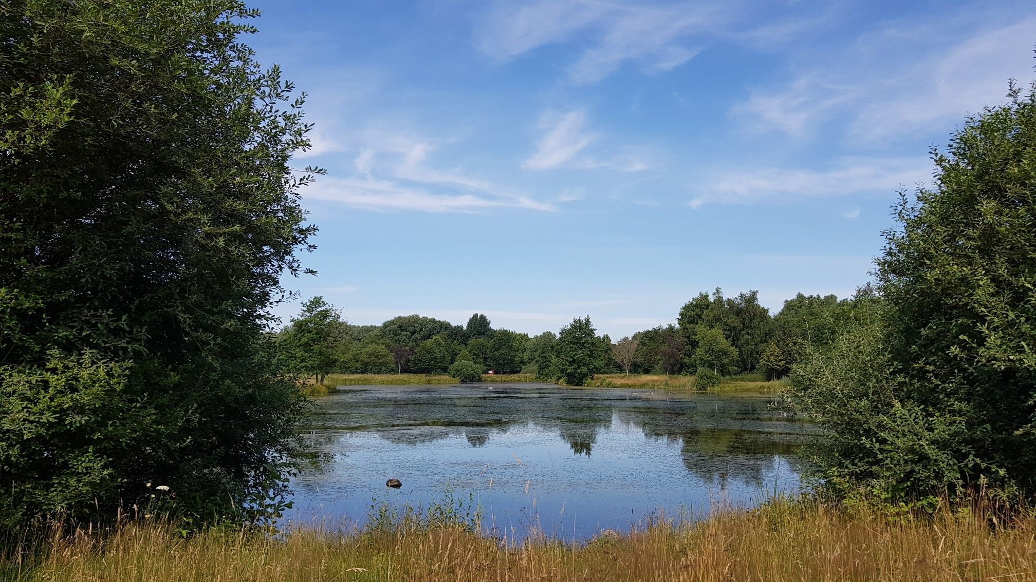 Landschaftssee Uchte