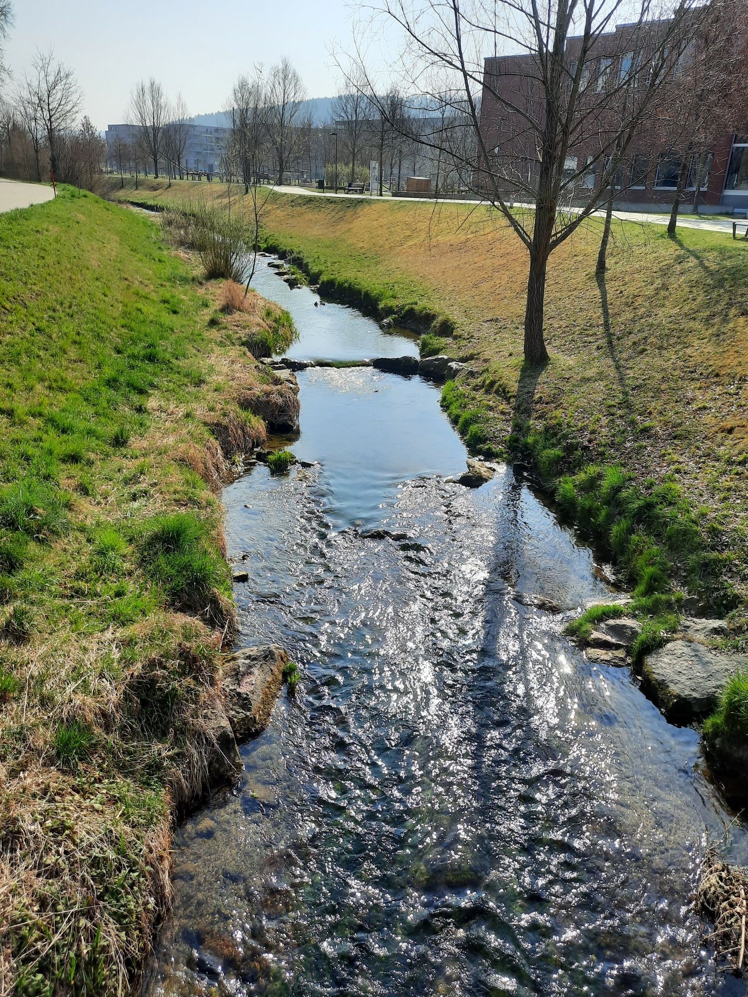 Eulach beim Eulachpark