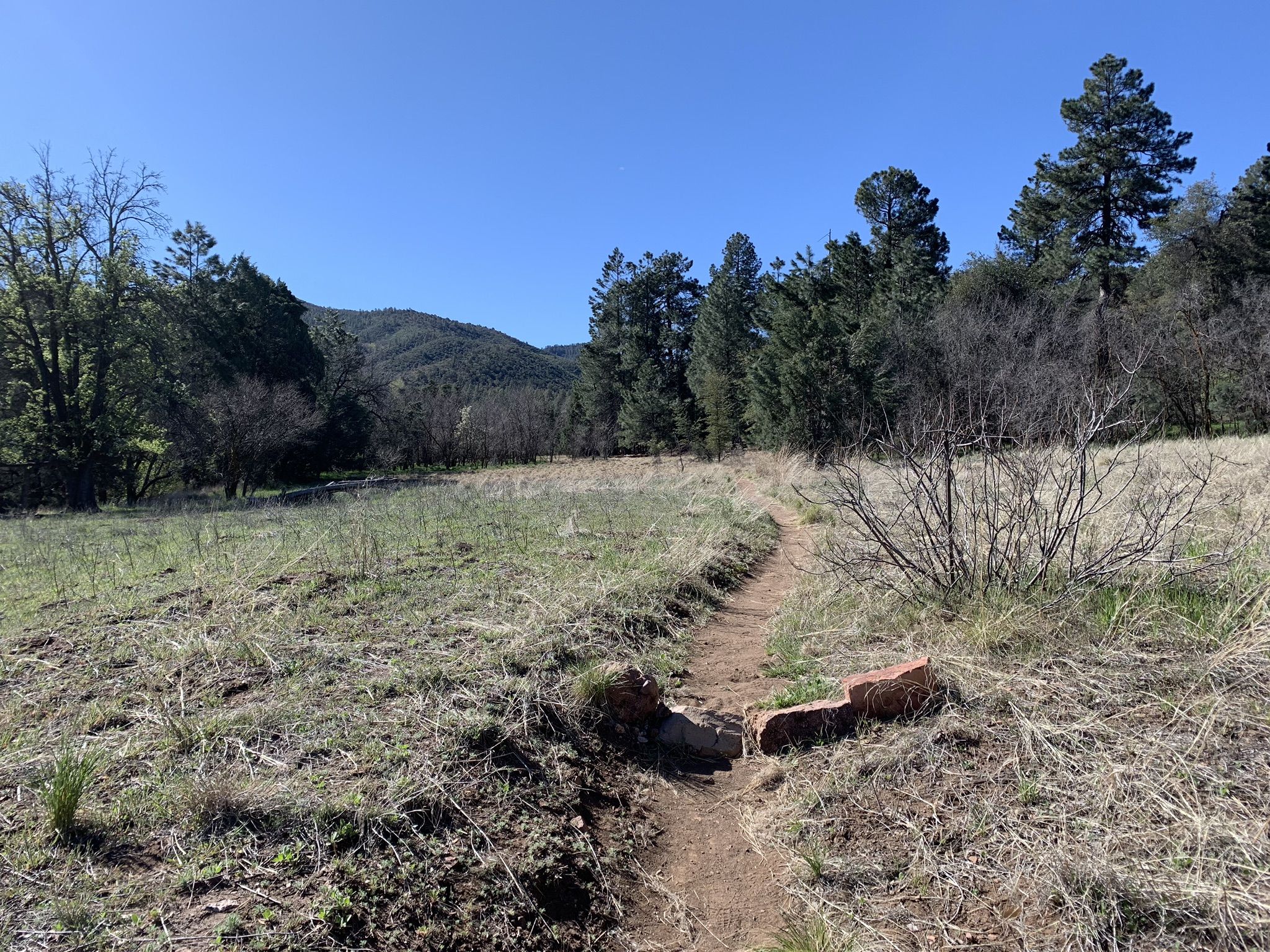 A narrow dirt path winds through a sunny, grassy field towards distant hills. - Reavis Gap Loop