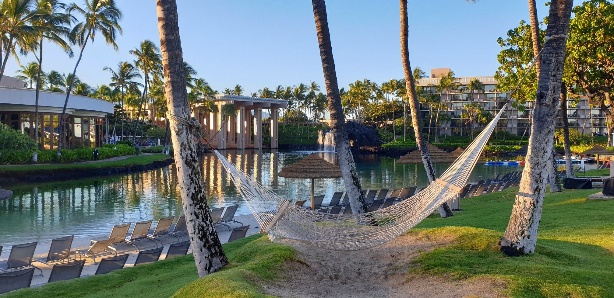 A white hammock hangs between palm trees by calm water and resort buildings. - Anaehoomalu Beach – Buddha Point overlook loop from Anaehoomalu Beach