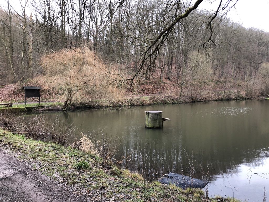 Fischteich 