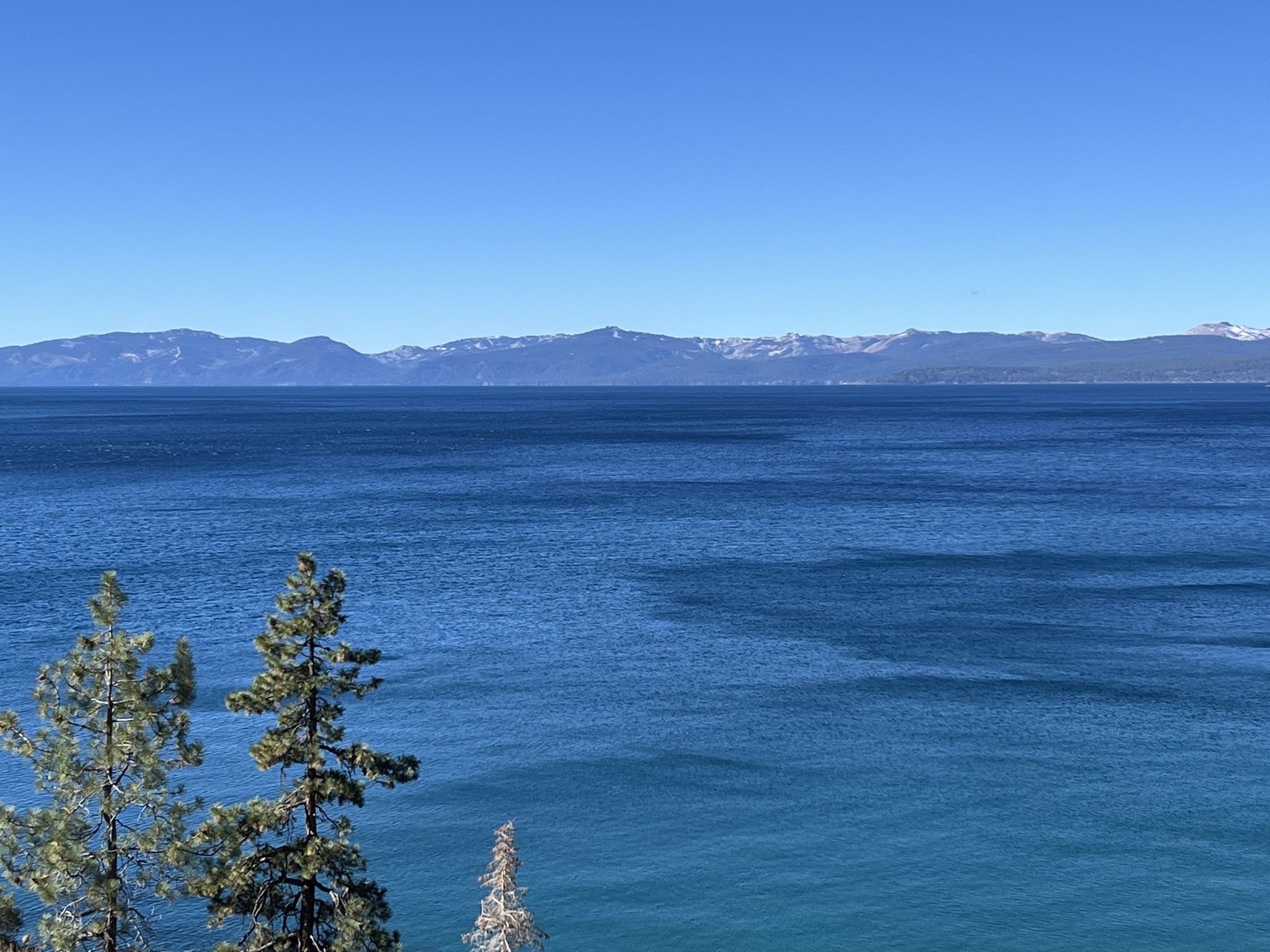 Blue lake, distant snow-capped mountains, clear sky, two pine trees. - Tahoe East Shore Trail