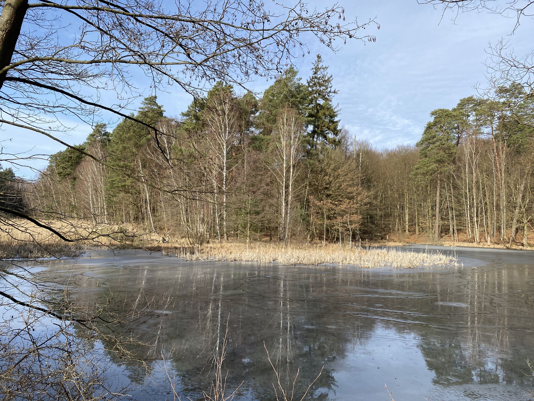 Schafdammgraben oder auch "Eiersuppe"