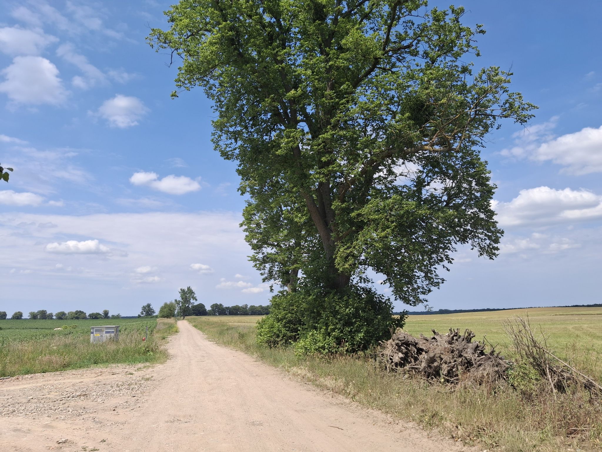 Feldweg nach Wojnowo 